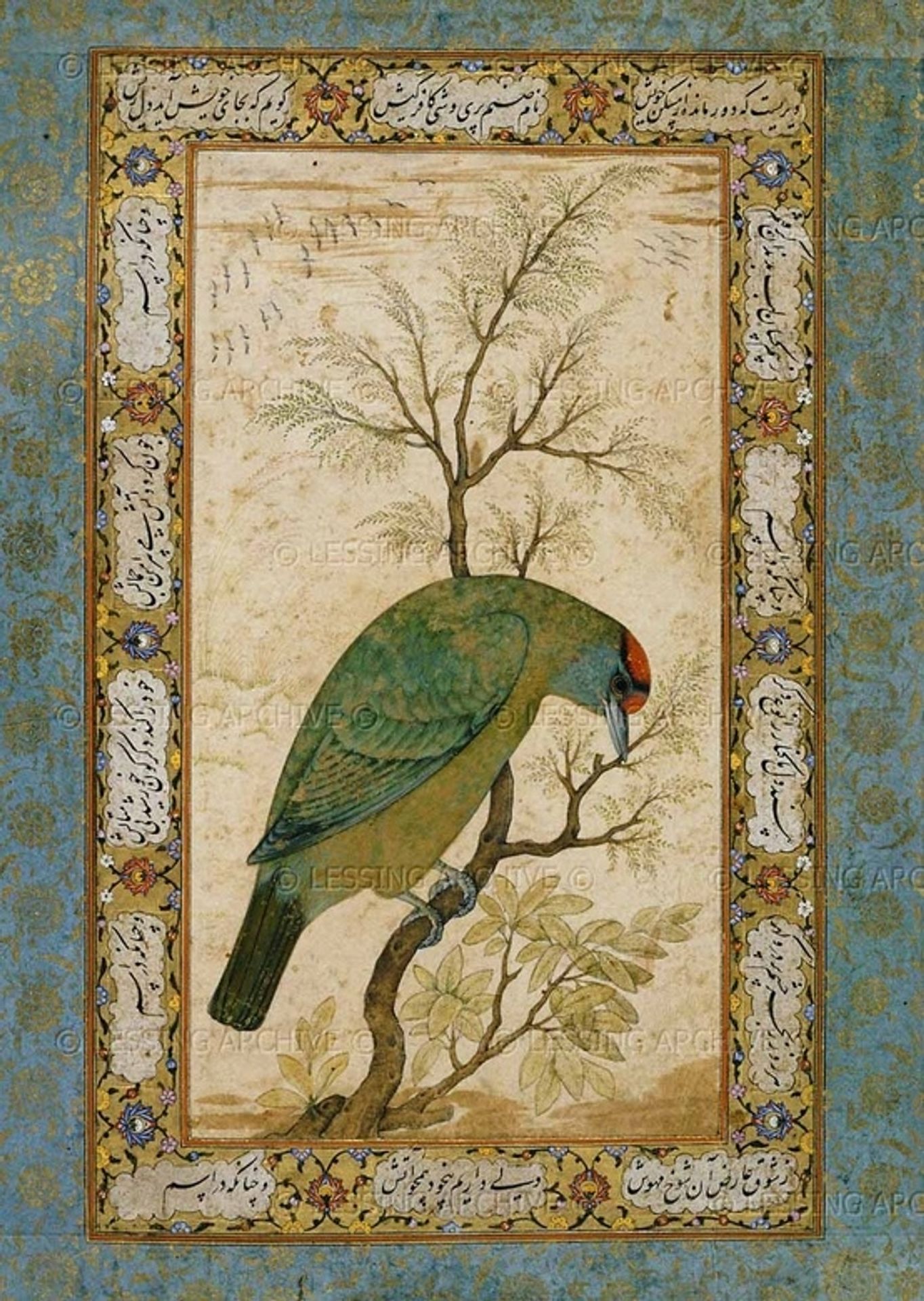 A Barbet (Himalayan blue-throated bird) by Ustad Mansur
