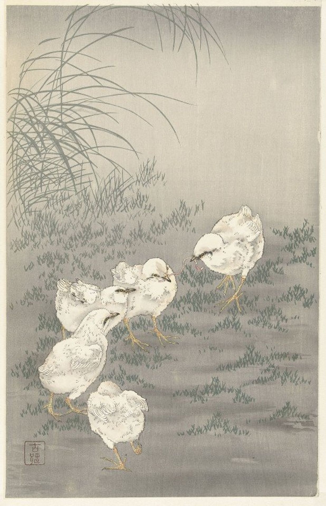 Five chicks by Ohara Koson