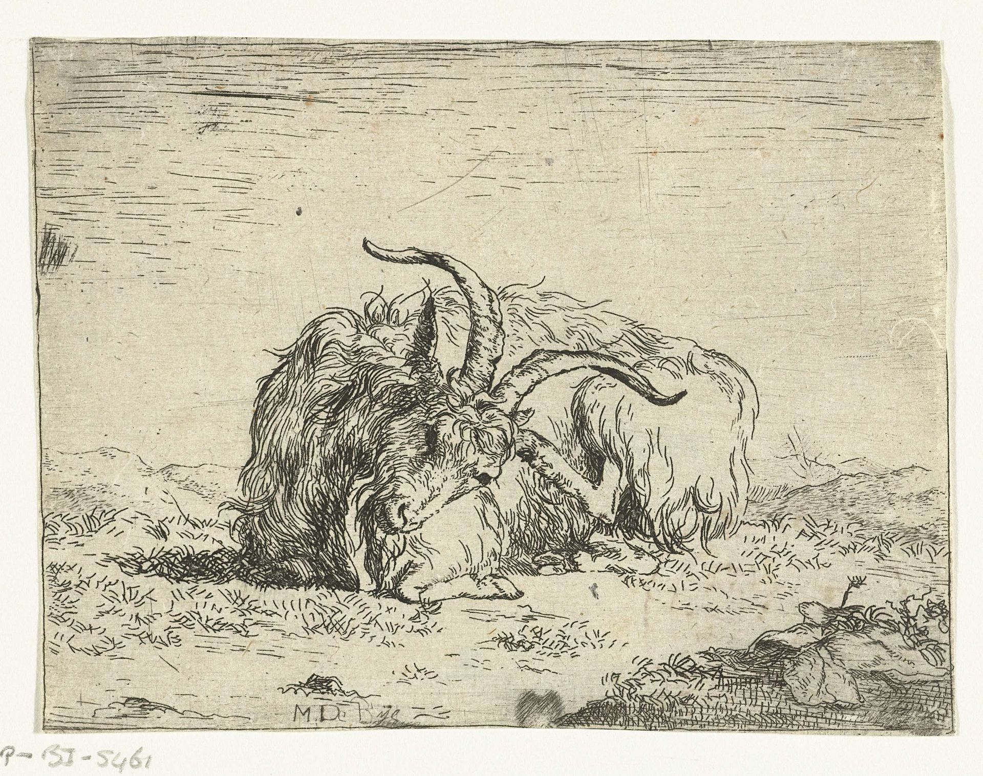 Rustende bok, poot bij oor by Marcus de Bye