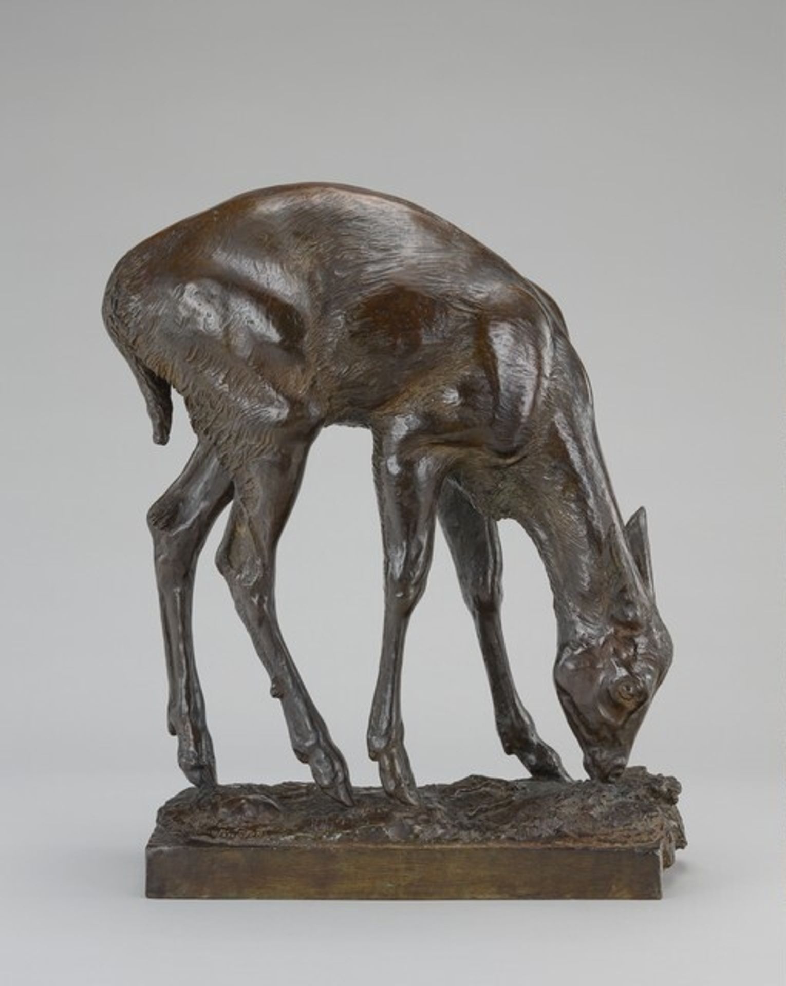 Fawn by Anna Hyatt Huntington