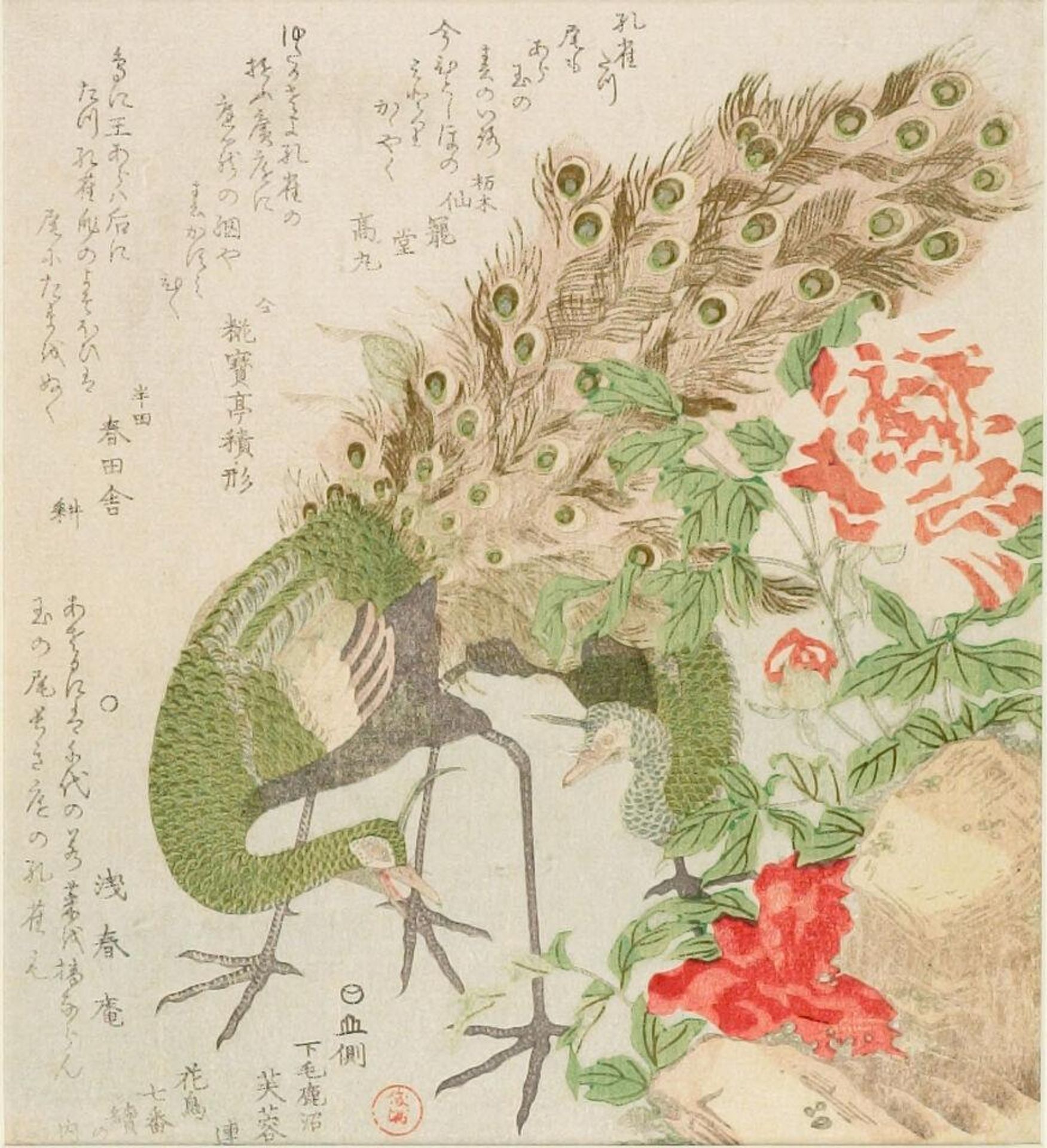 Peacock and Peony, from the series Seven Bird-and-Flower Prints for the FuyÅren of Kanuma in Shimotsuke Province (Yamagawa Shimotsuke Kanuma FuyÅ-ren  kachÅ shichi-ban tsuzuki no uchi) by Kubo Shunman