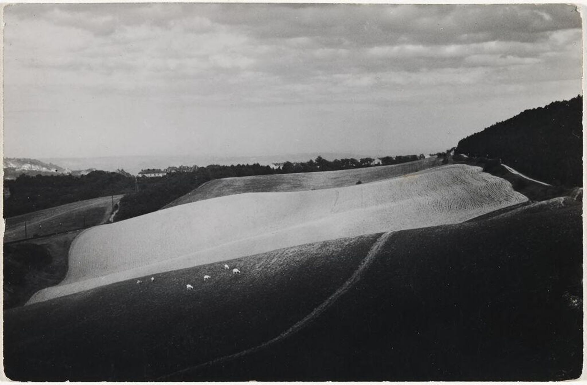 Untitled [Landscape] by Eugen WiÅ¡kovskÃ½