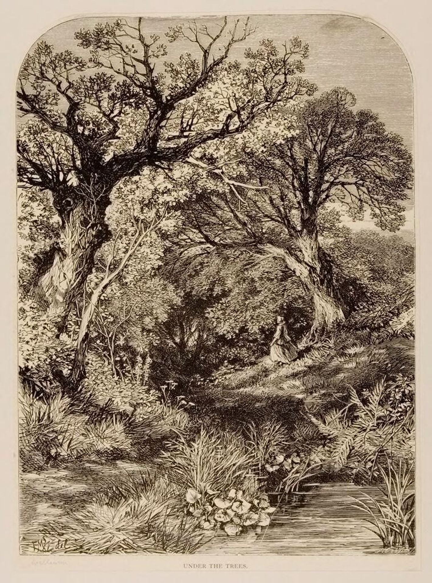 Under the Trees by James Davis
