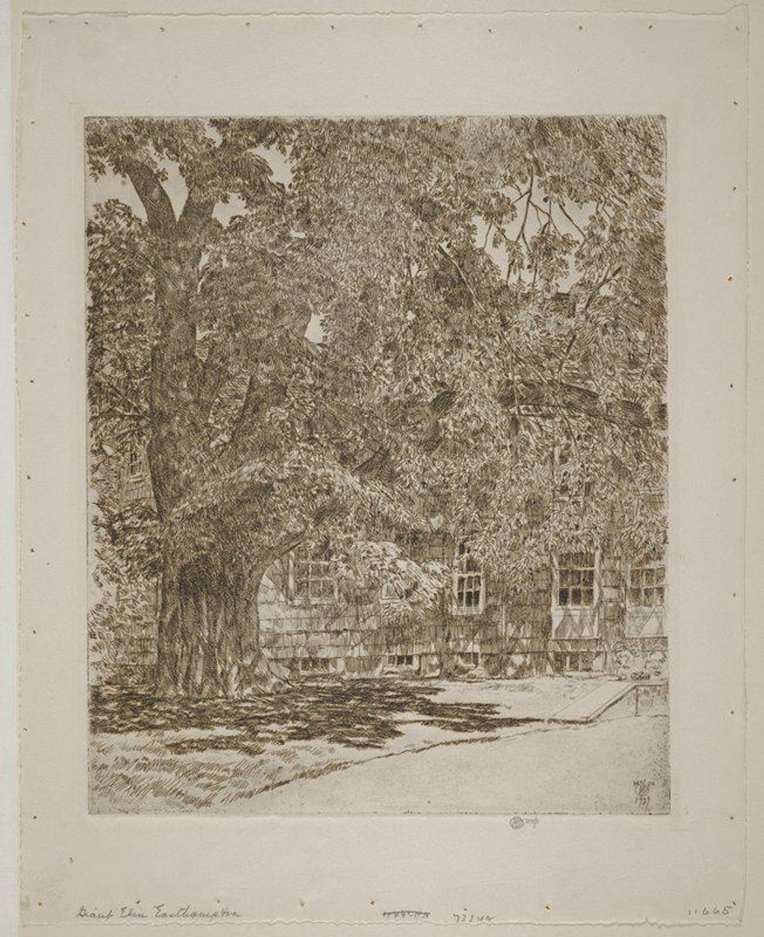 Giant Elm by Childe Hassam