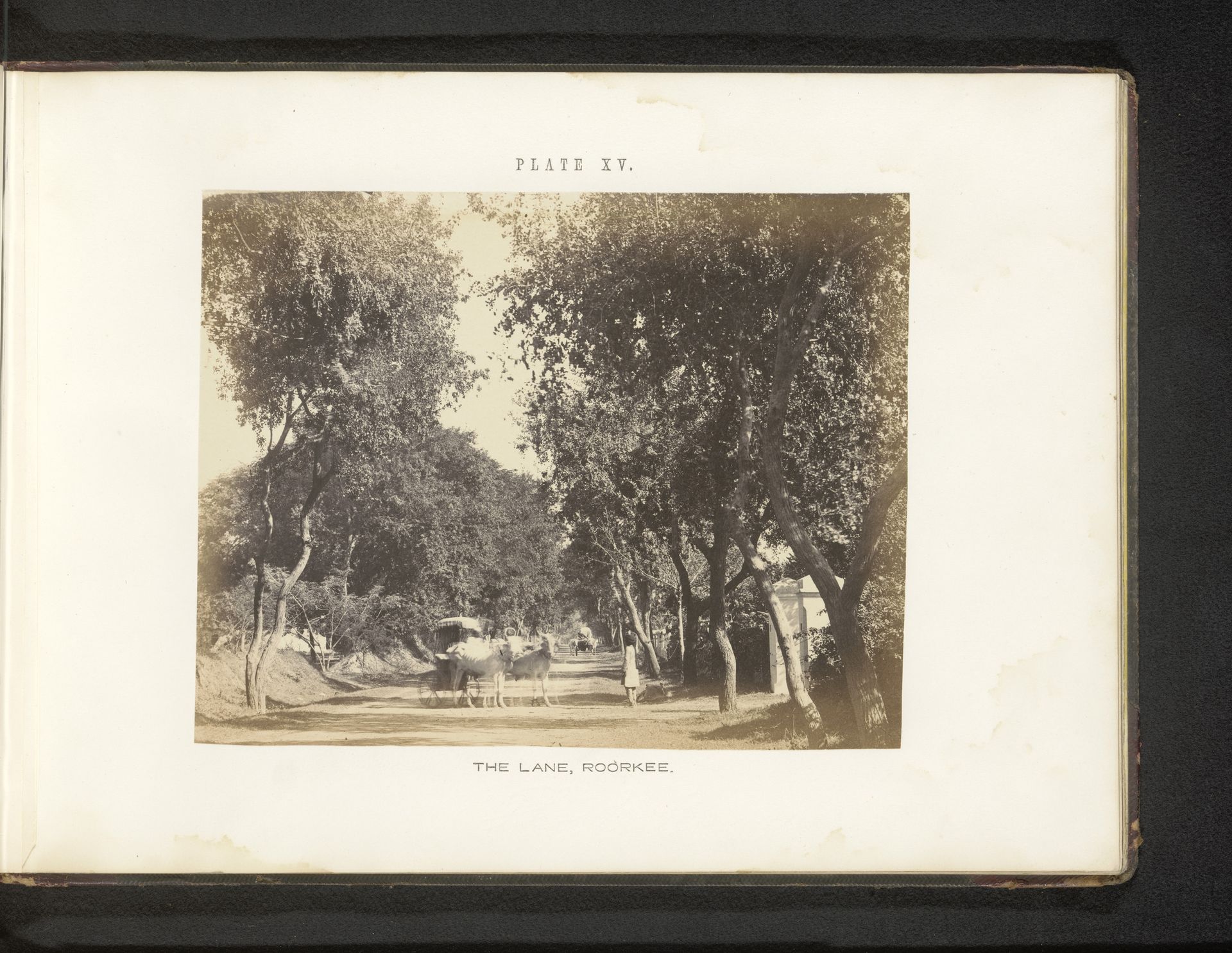 Gezicht op door ossen getrokken karren op een weg te Roorkee by Thomas George Glover