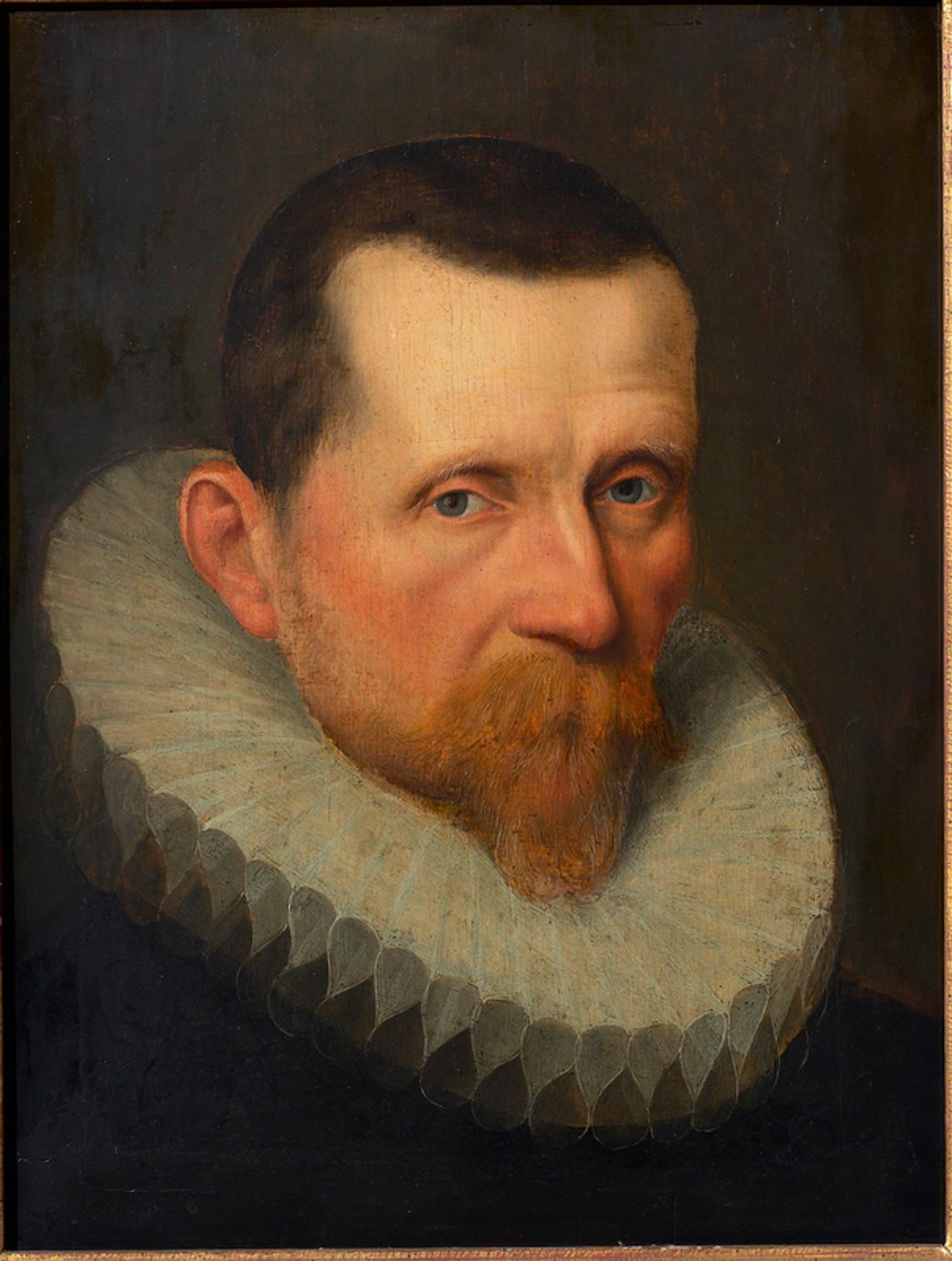 Рortrait of a Man by Maarten de Vos