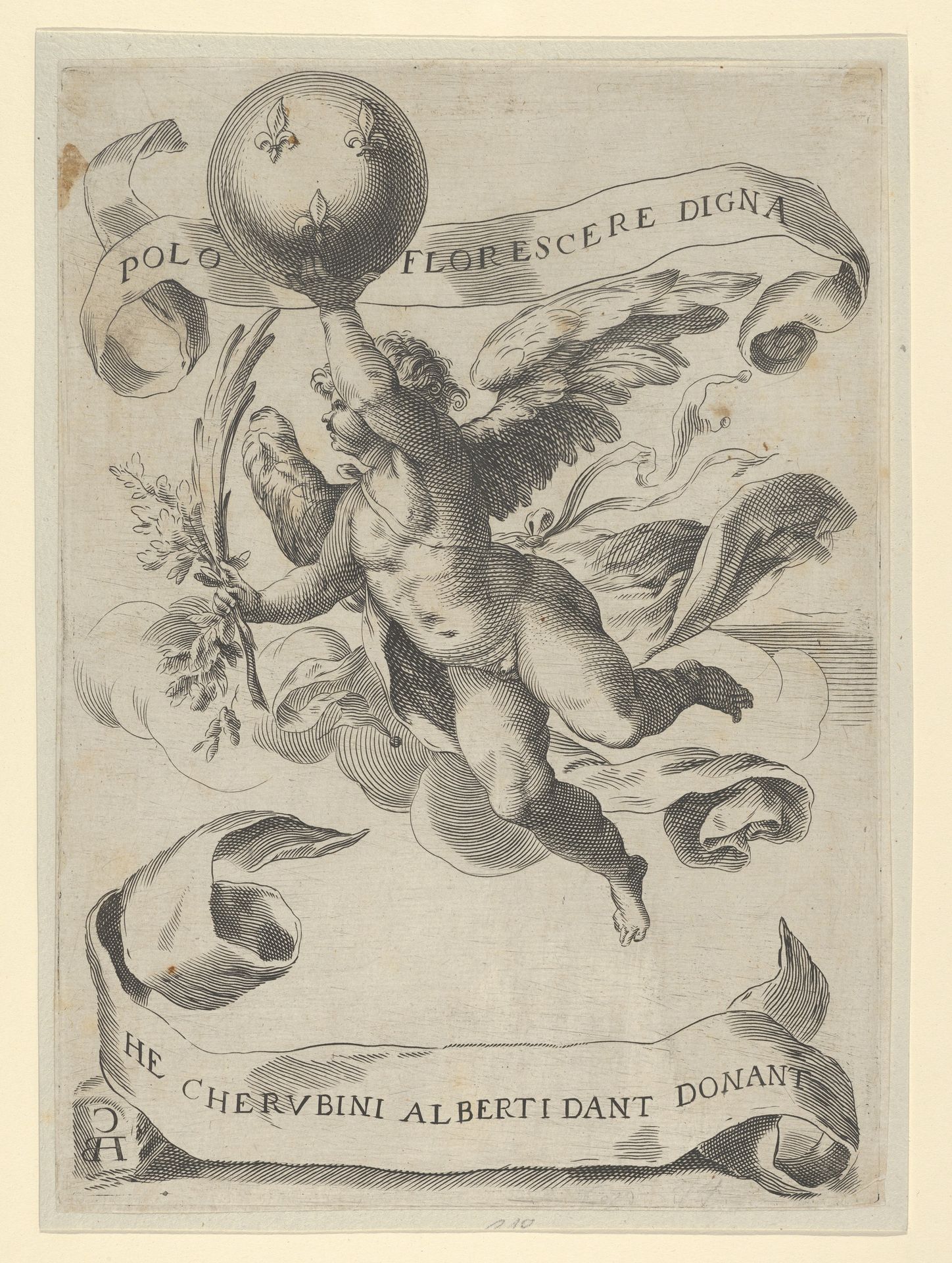 Winged genius with the Arms of the Medici in his right hand and foliage in his left by Cherubino Alberti
