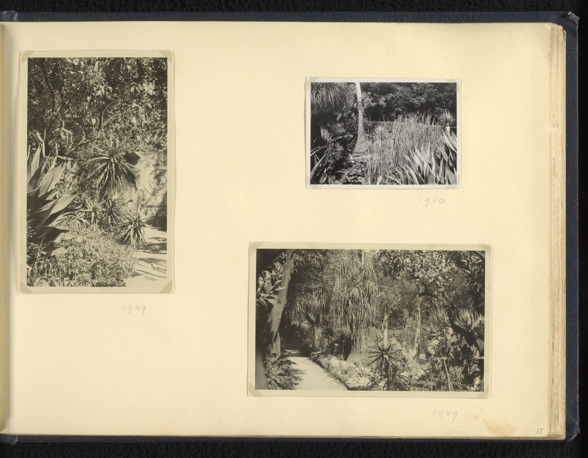 Drie foto's van de tuin van Villa Tritone, Sorrento by Norbert van den (1901-1972) Berg