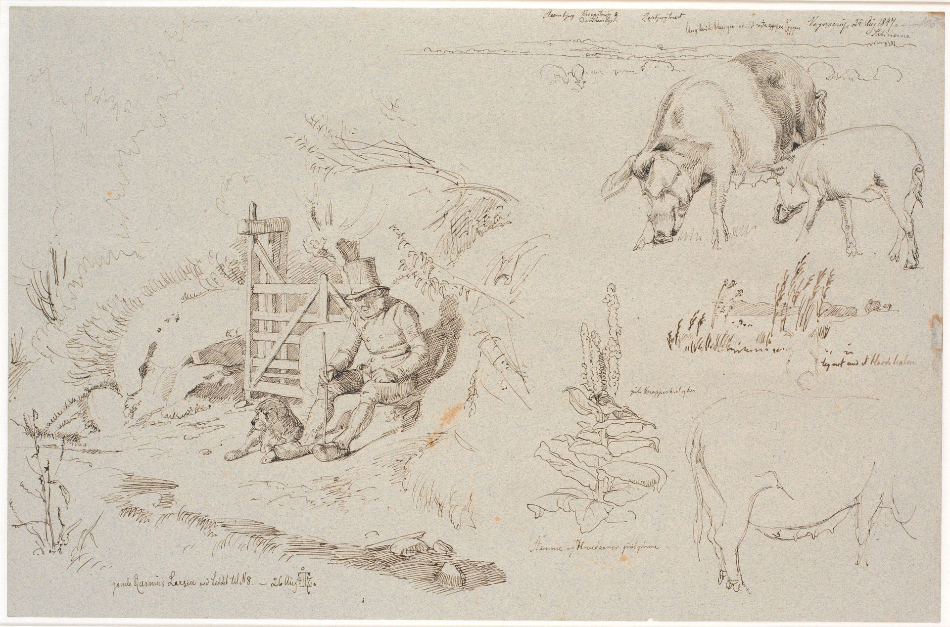 Studieblad fra Vognserup. T. v. en røgter (gamle Rasmus Larsen) siddende med en hund ved et led. F.o.t.h. et landskabsstudie med stedbetegnelser. Herunder to grise. T.h.m.f. studie af siv i en sø. Herunder en kongelysplante og studie af en so by Johan Thomas Lundbye