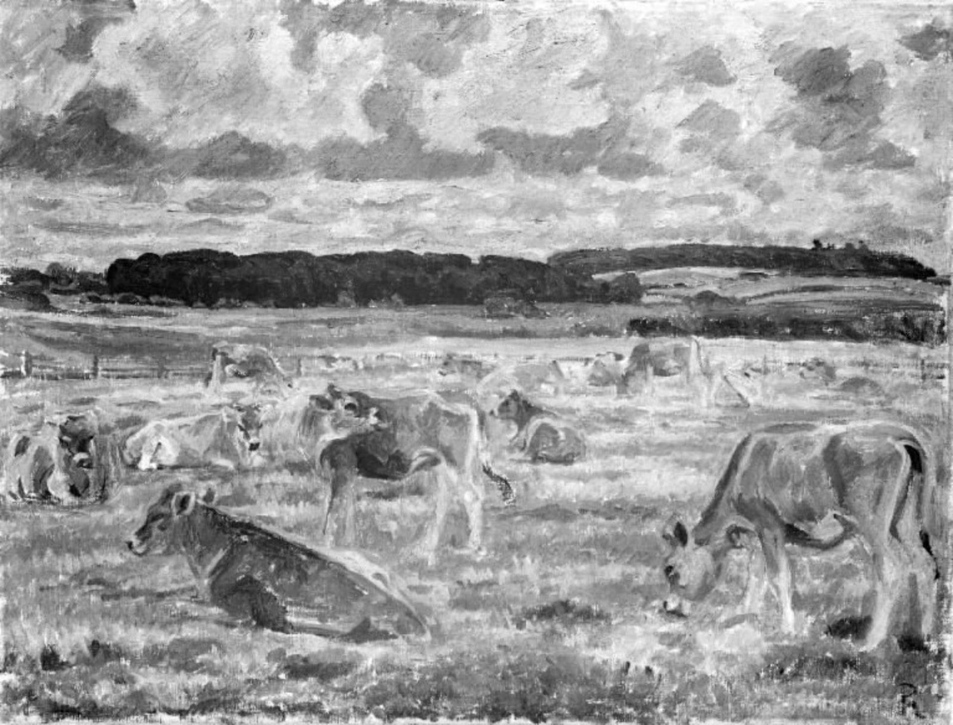 Jerseykøer by Peter Hansen