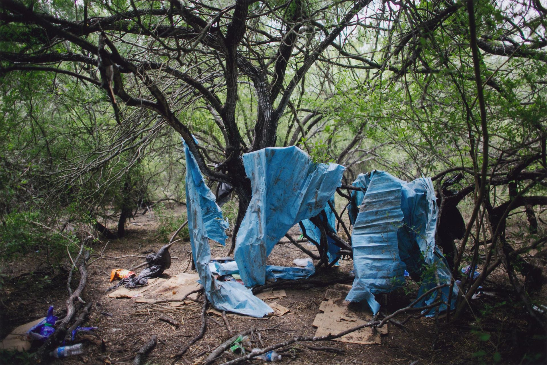 Stash House in Orange Grove by Kirsten Luce
