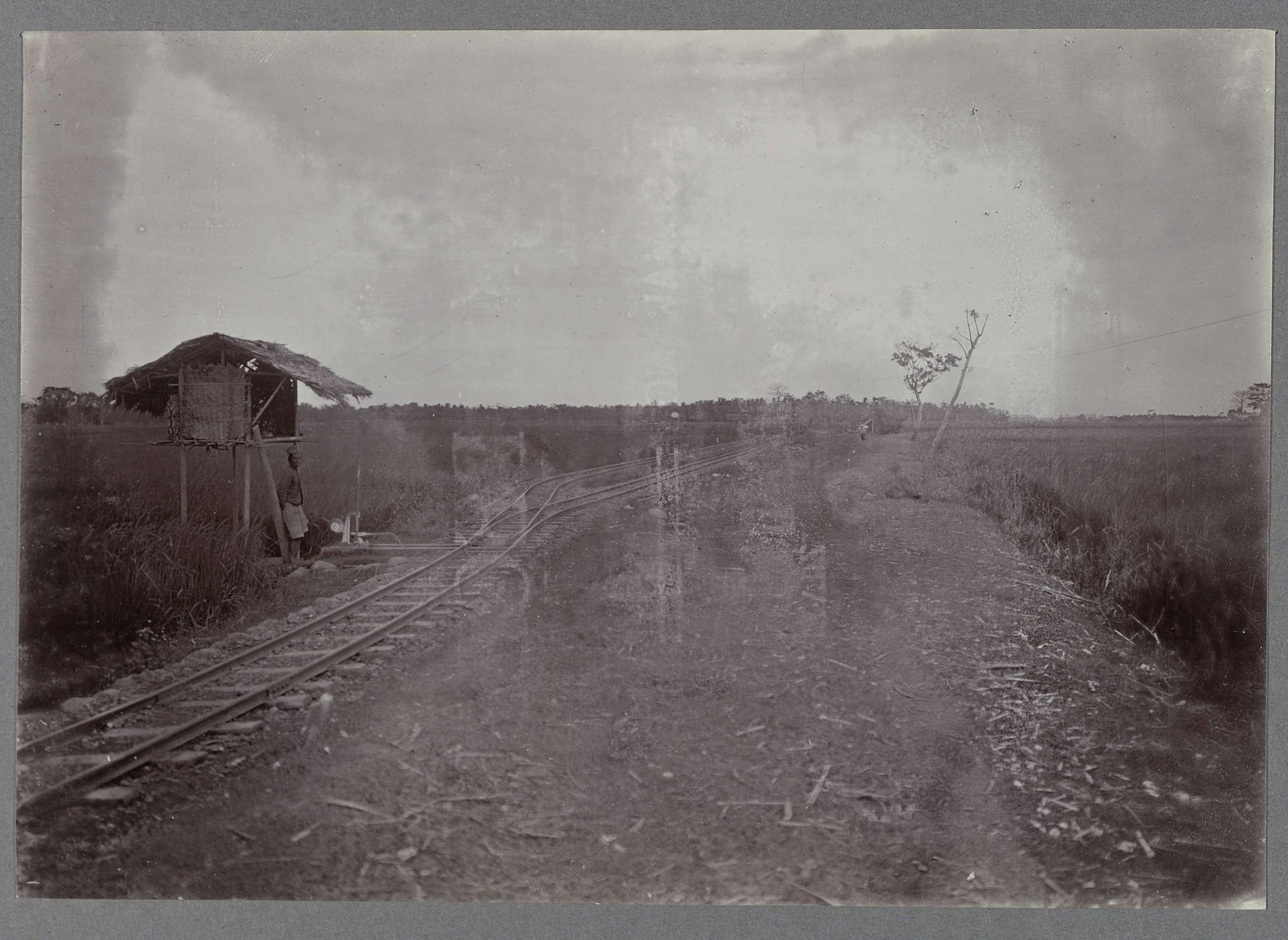Spoor langs suikerriet by Anonymous