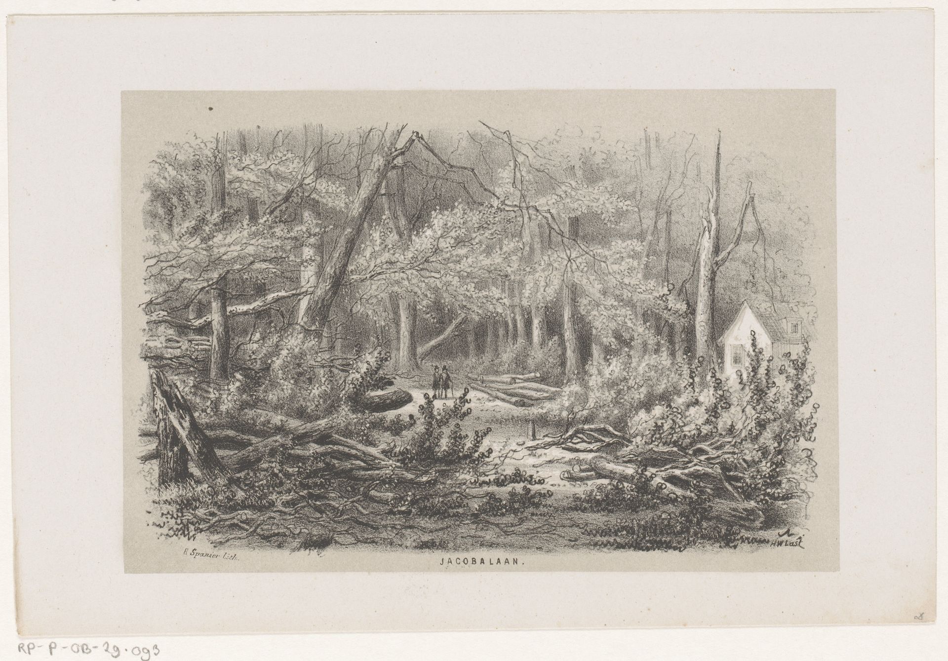 Omgewaaide bomen aan de Jacobalaan, na de storm van 28 mei 1860 by Hendrik Wilhelmus Last