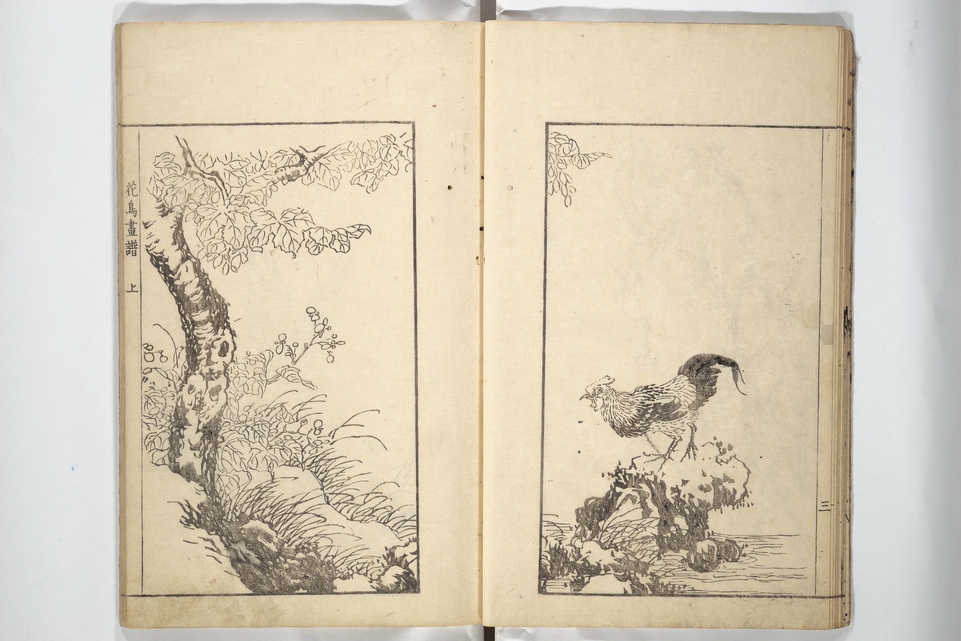 Sō Shiseki Picture Album by Sō Shiseki