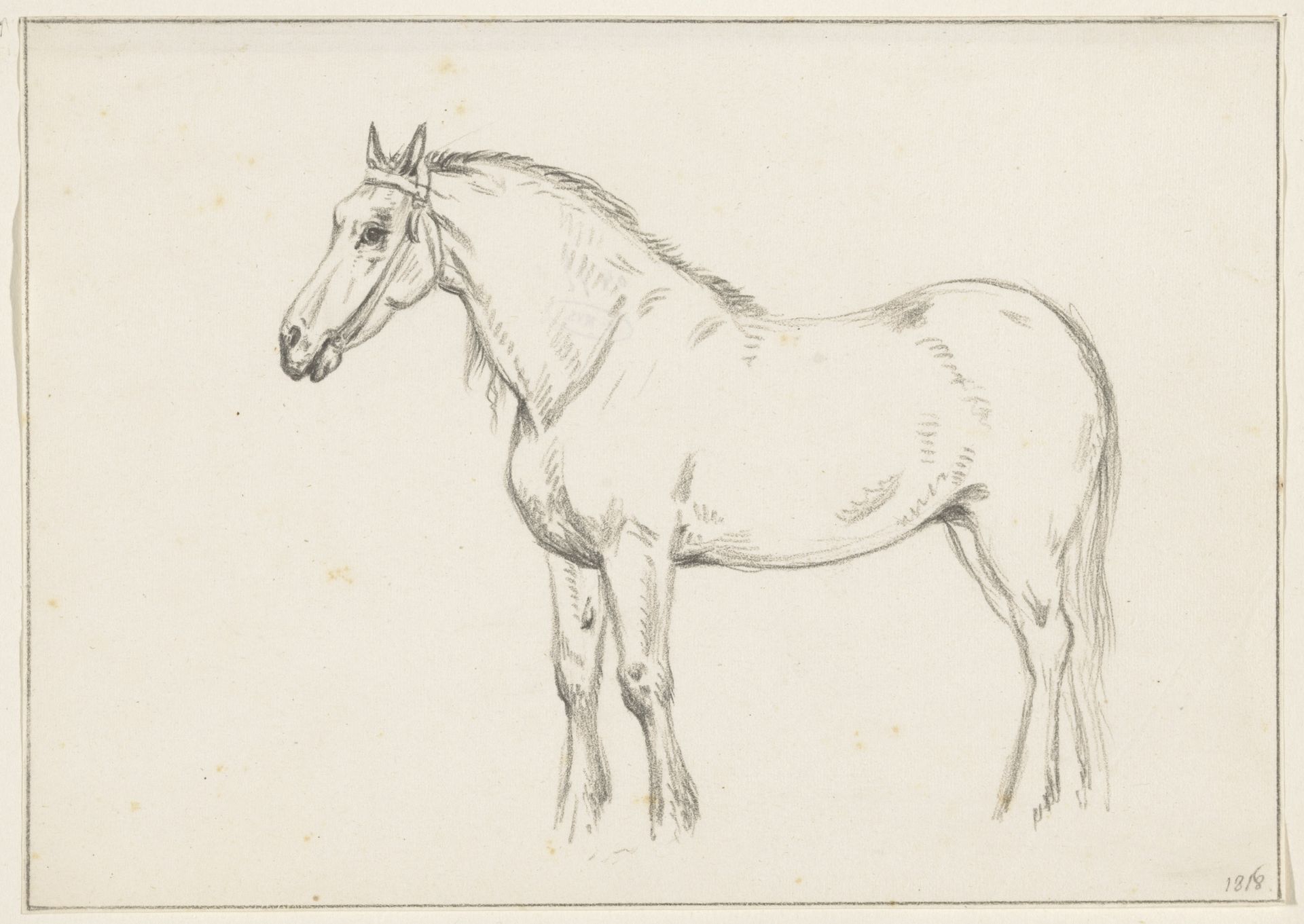 Staand paard, naar links by Jean Bernard