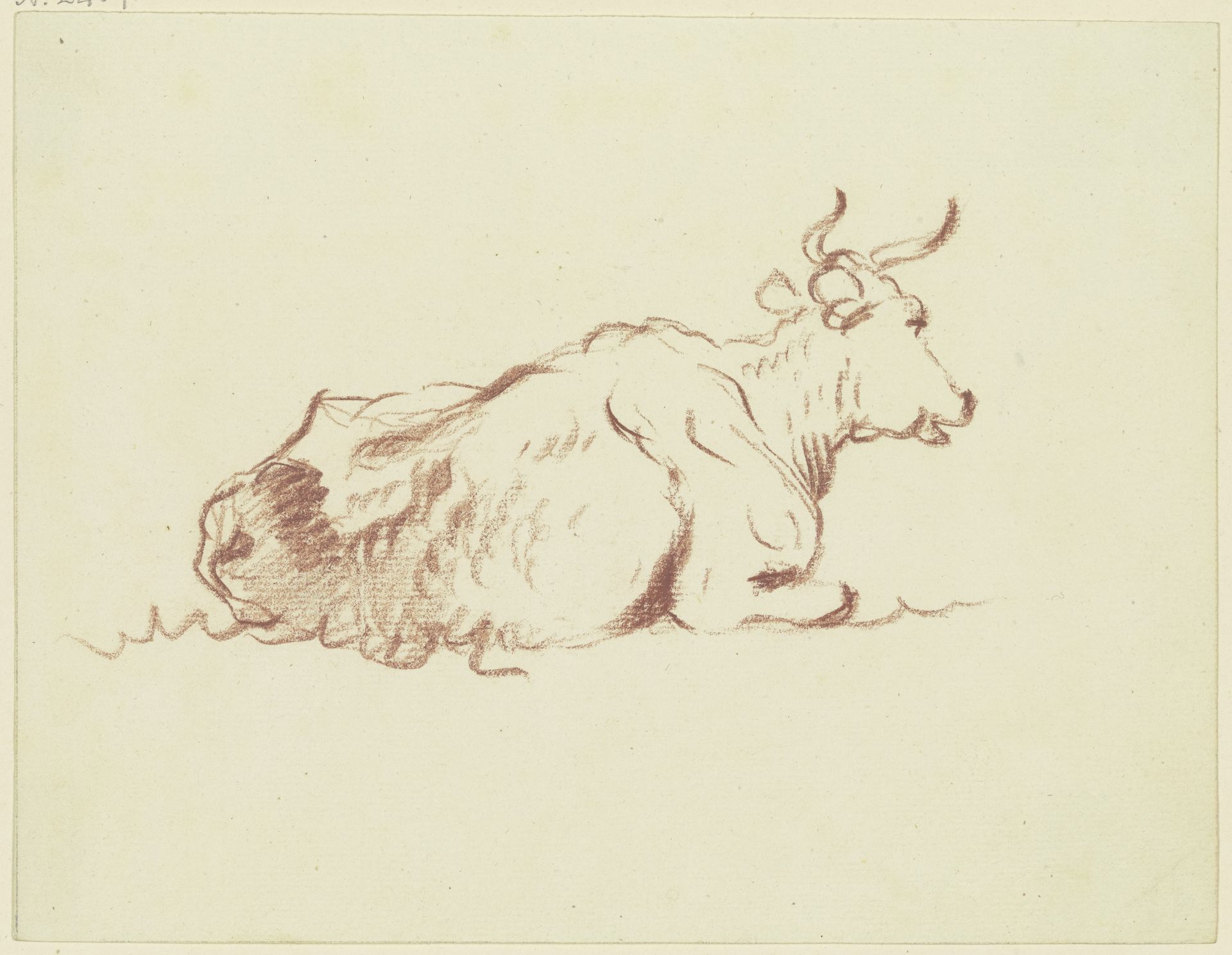 Liegendes Rind nach rechts, mit leicht geöffnetem Maul by Friedrich Wilhelm Hirt