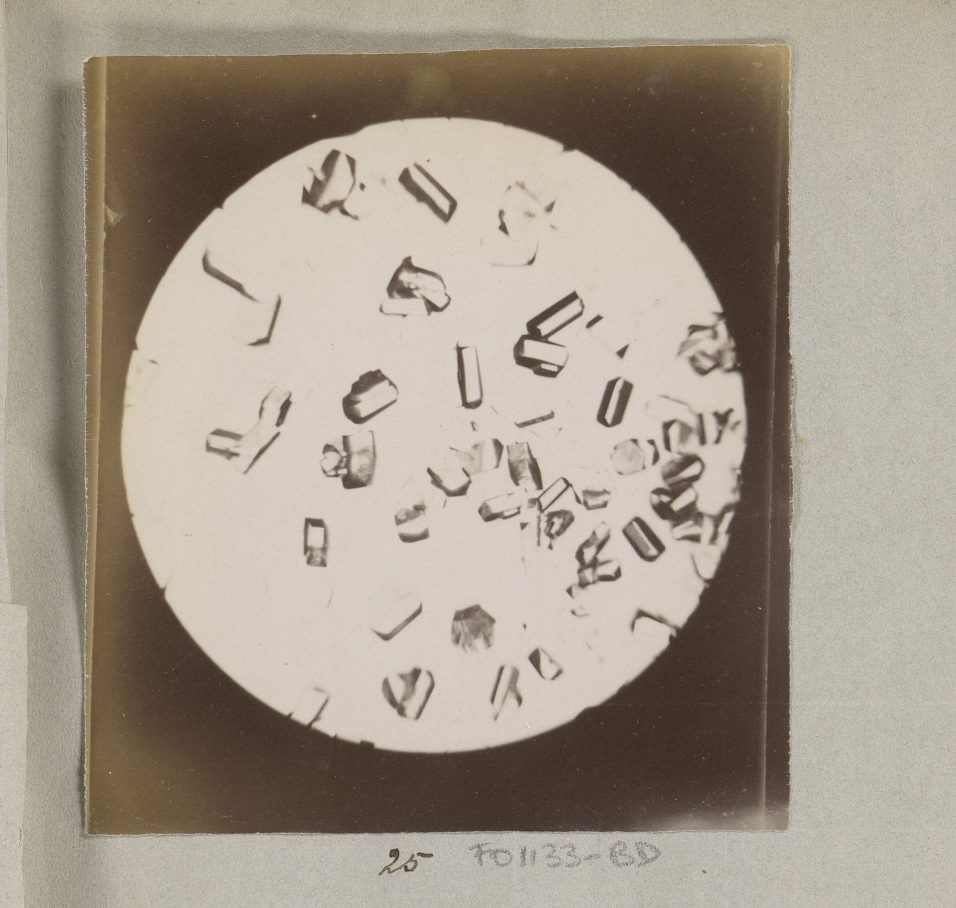Microscopische opname van boorzuurkristallen, 35 keer vergroot by Marinus Pieter Filbri