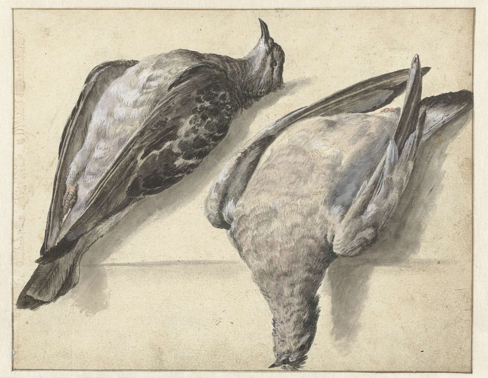 Twee dode duiven by Rochus van Veen