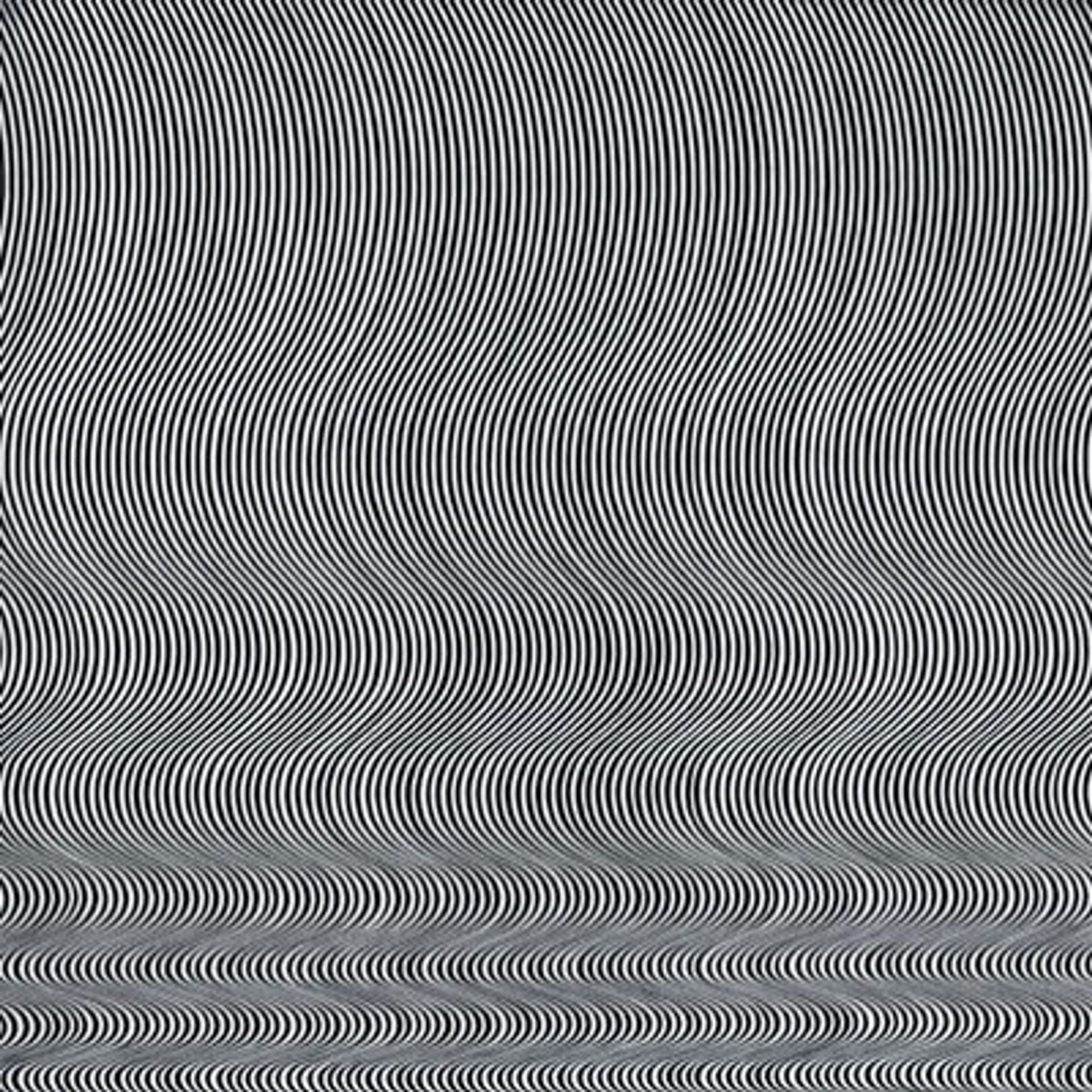 Fall by Bridget Riley