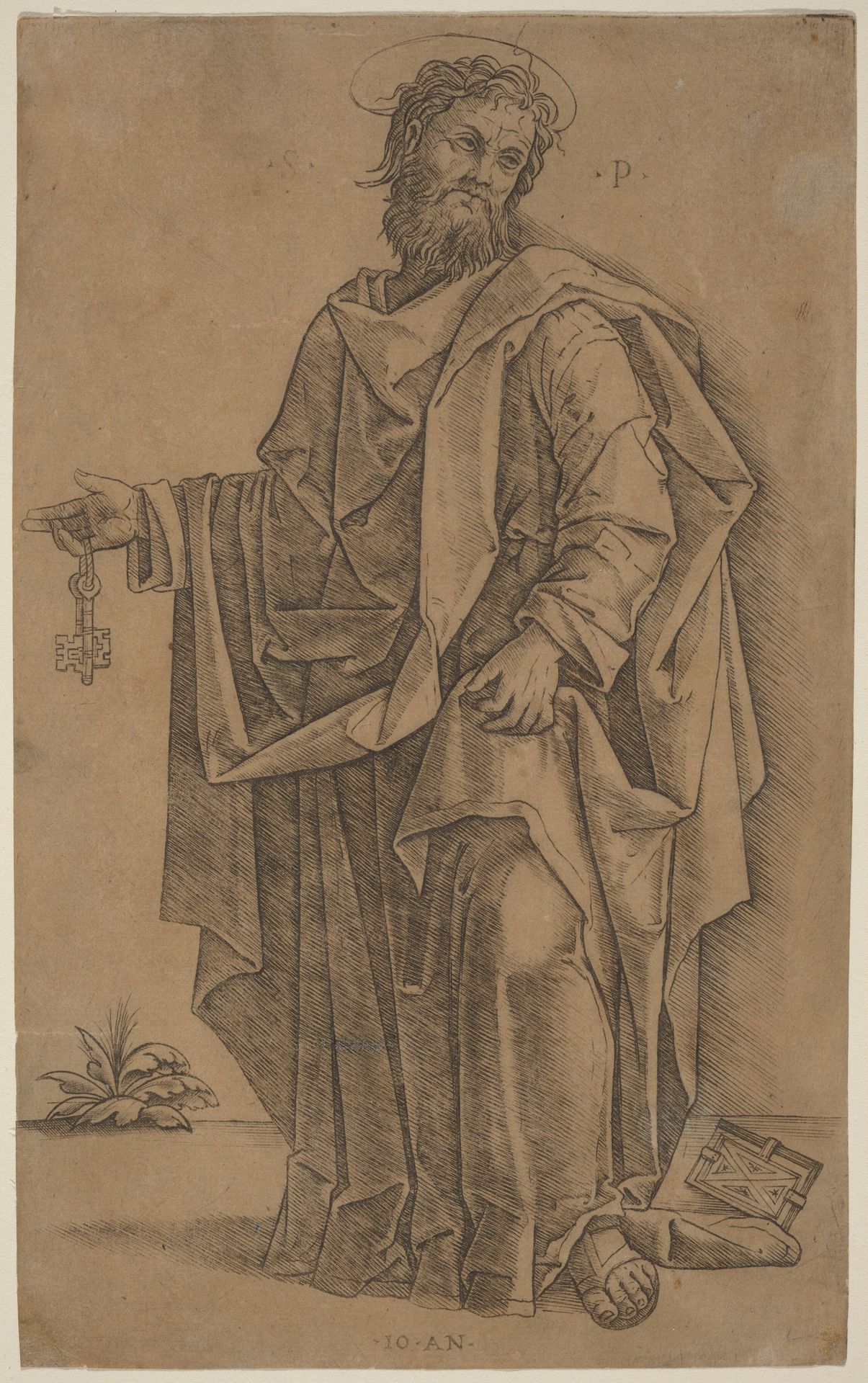 Saint Peter by Giovanni Antonio da Brescia
