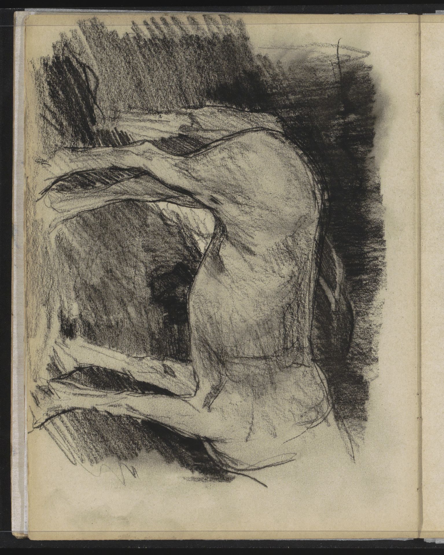 Paarden by Willem Witsen