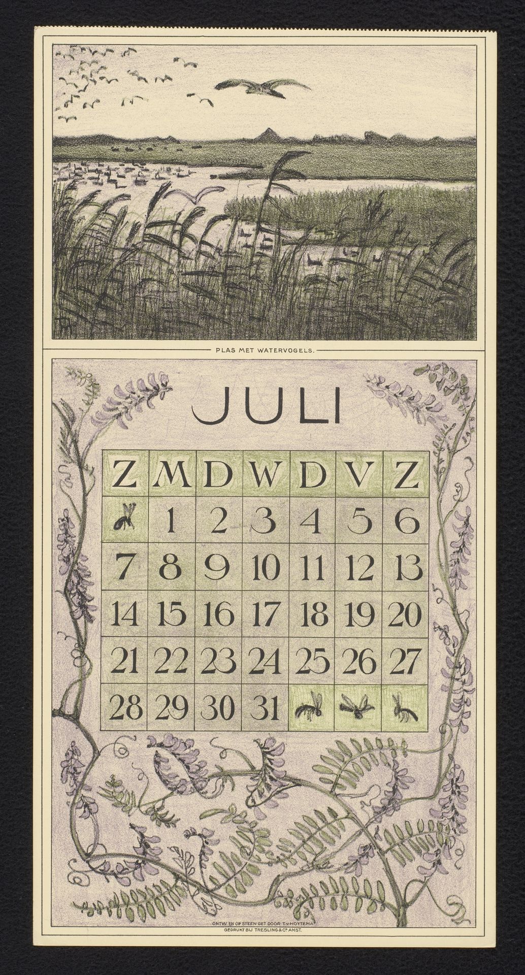 Kalenderblad voor juli 1912 met een waterrijk landschap met vogels by Theo van Hoytema