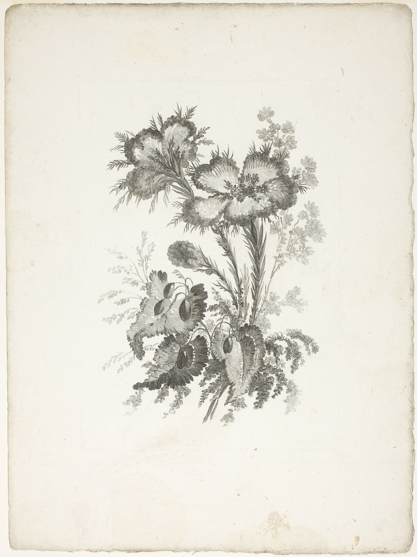 Bouquet, from Collection of New Flowers of Taste for the Manufacture of Persian Cloth, Invented and Drawn by Jean Pillement by Johann Heinrich Hess
