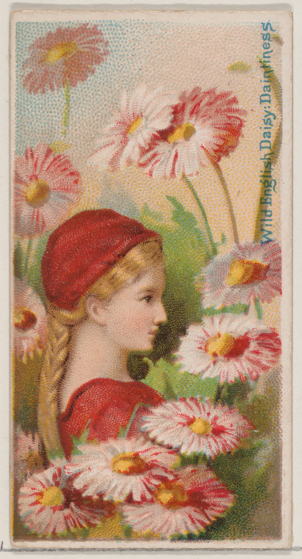 Wild English Daisy: Daintiness, from the series Floral Beauties and Language of Flowers (N75) for Duke brand cigarettes by American Tobacco Company