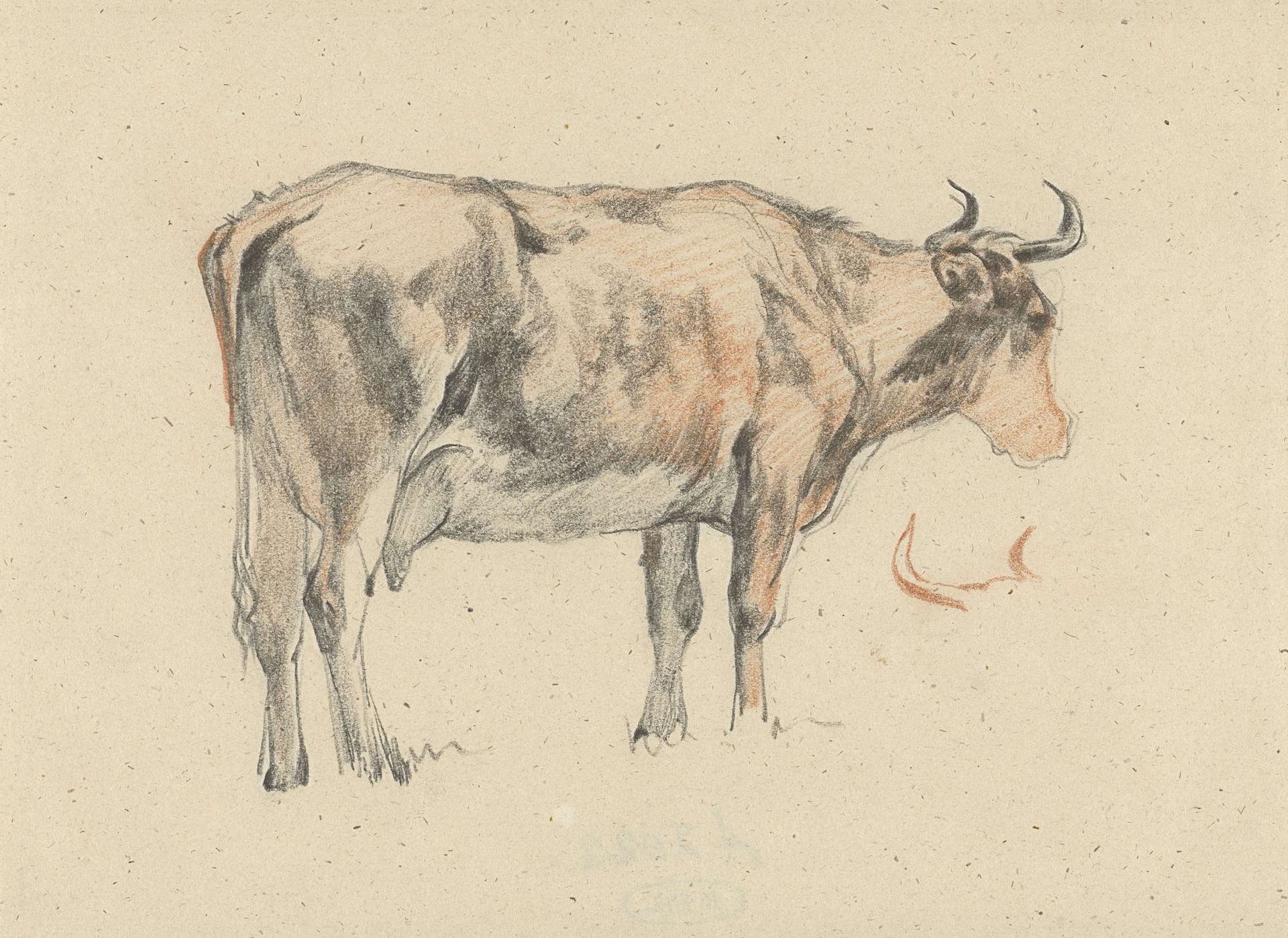Staande koe, naar rechts by Guillaume Anne van der Brugghen