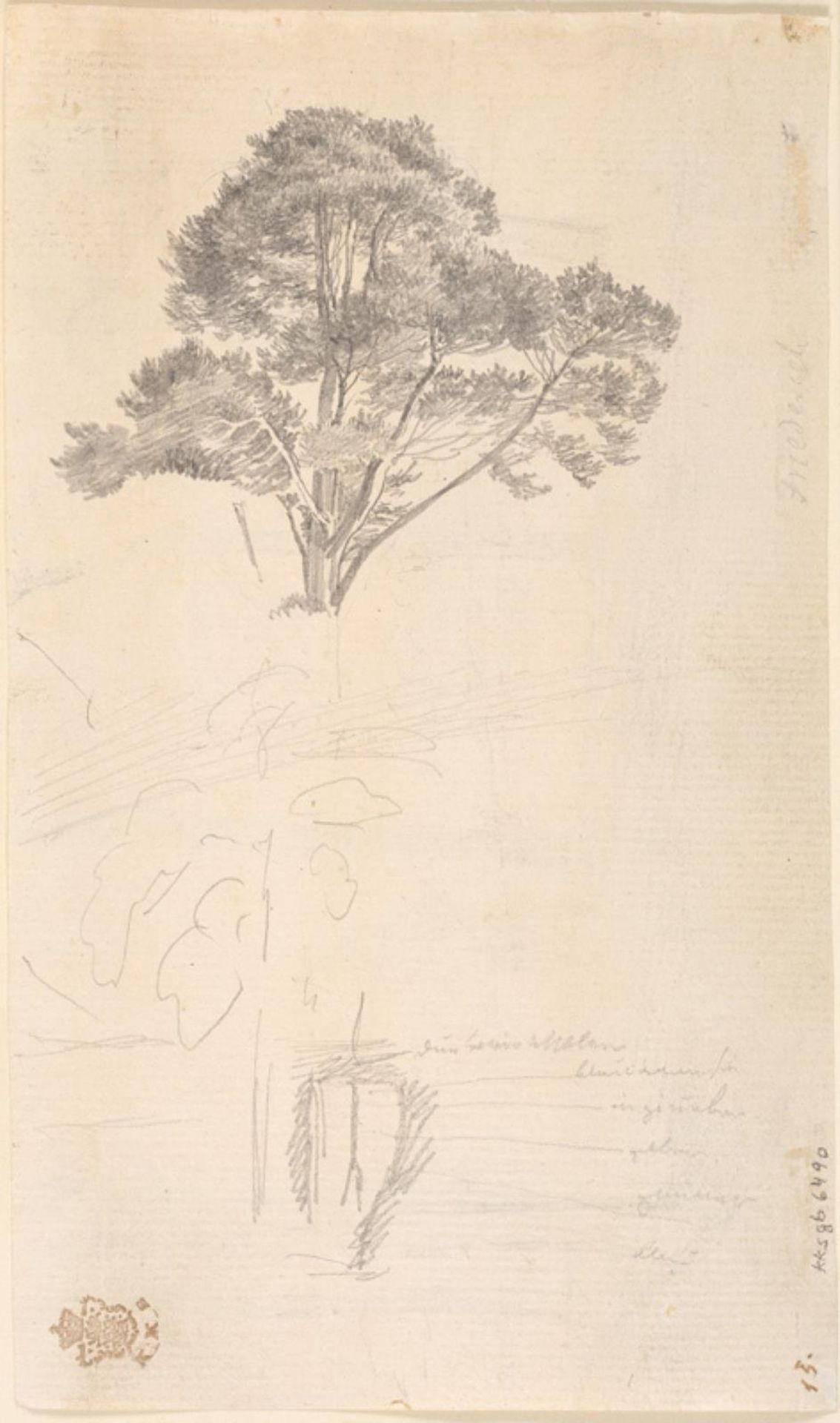 Studie af en trætop by Caspar David Friedrich