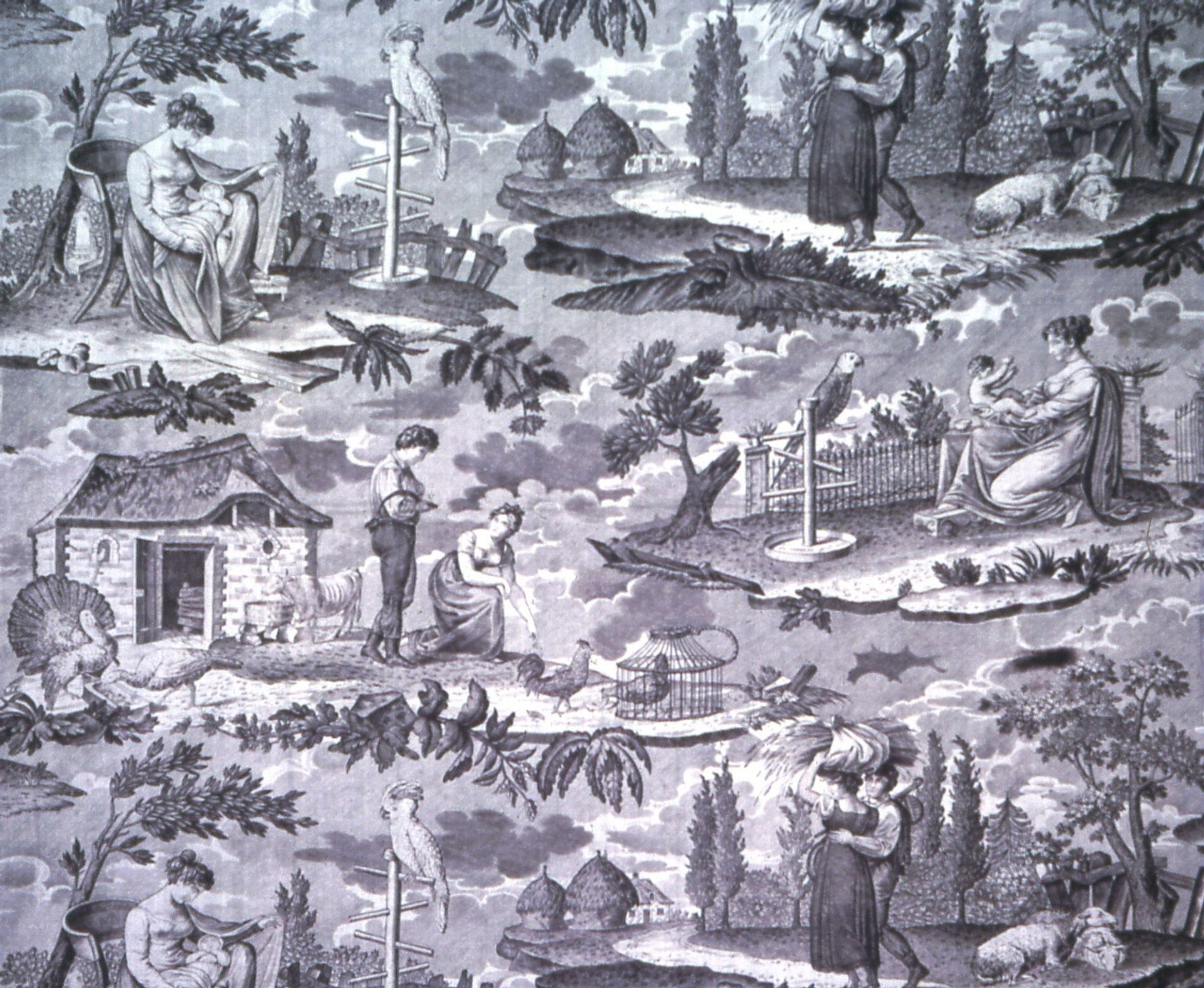 Le Kakatoès (The Cockatoo) (Furnishing Fabric) by Favre, Petitpierre et Cie