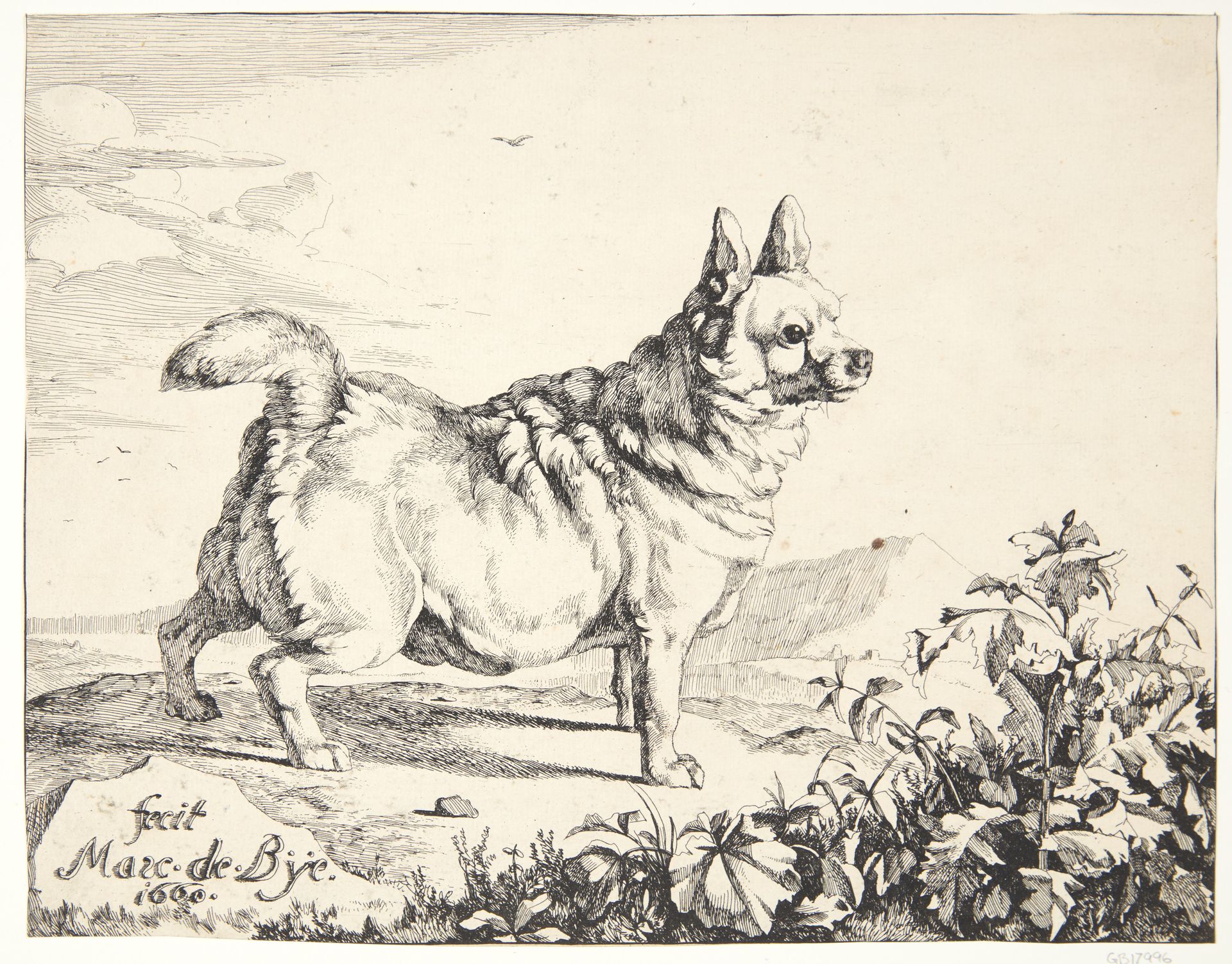Stående hund, gadekryds by Marcus de Bye