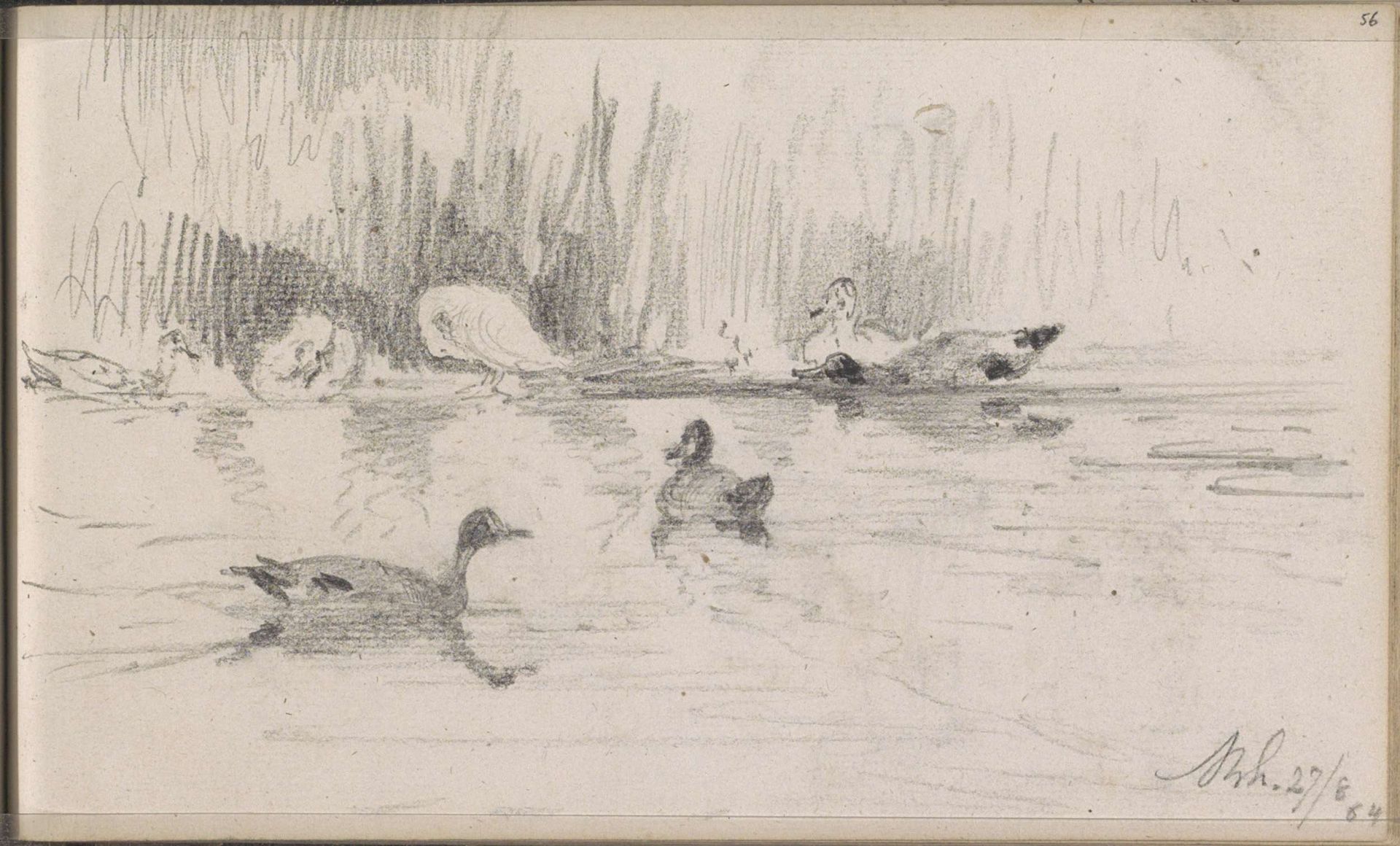 Rivier met eenden by Johannes Tavenraat