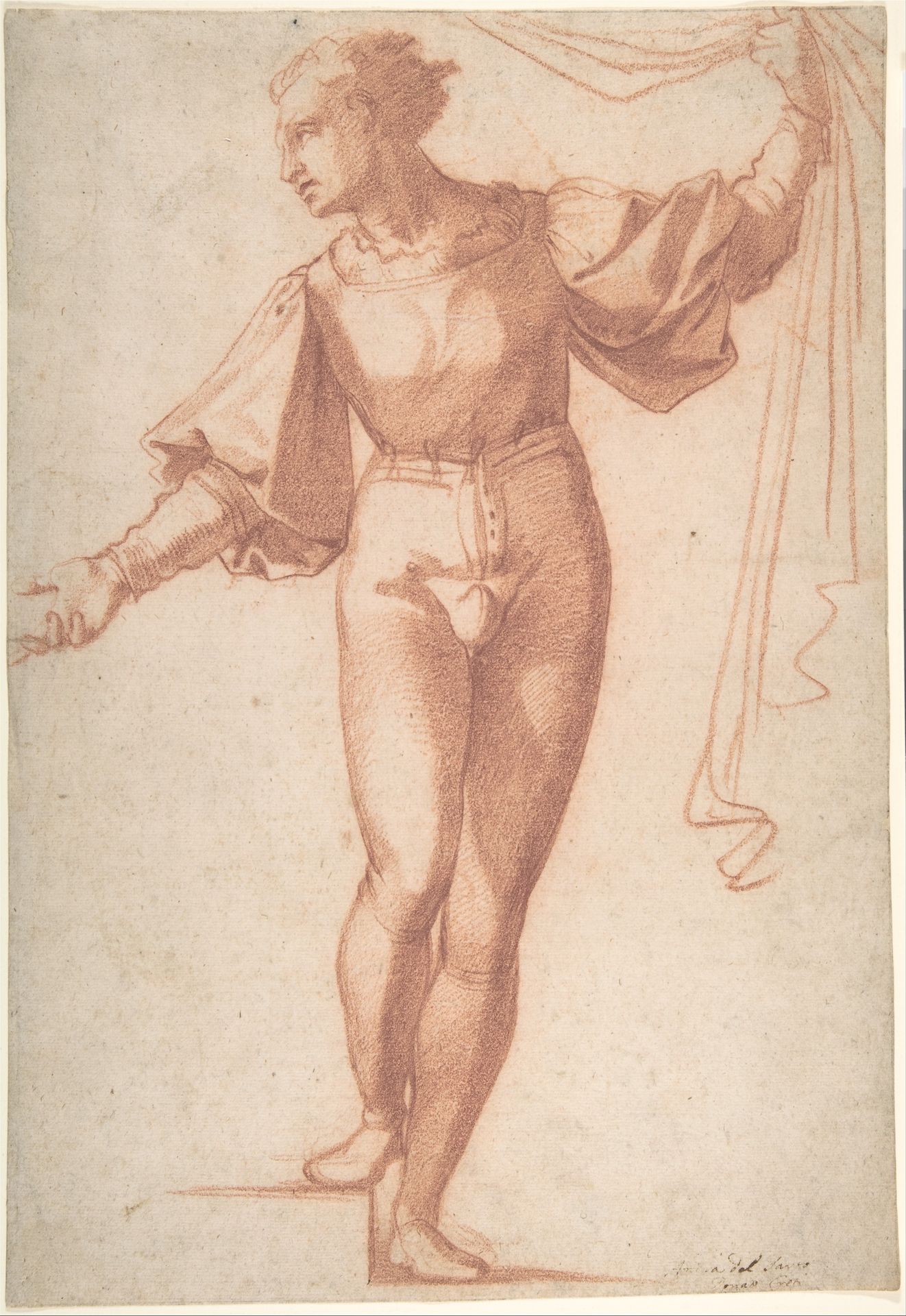 Study for a Standing Young Man, Raising a Curtain and Looking at Left by Baccio Bandinelli
