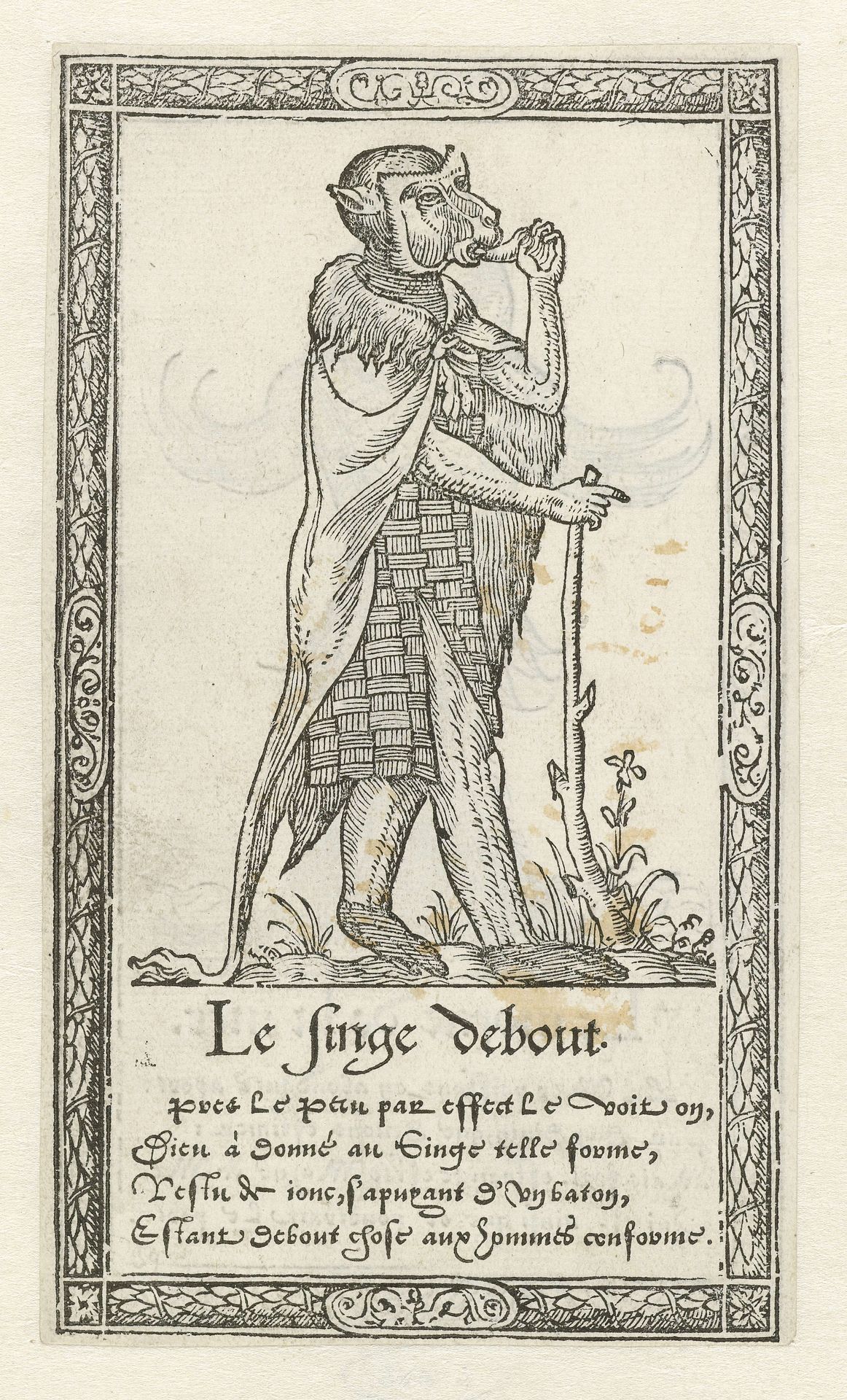 Menselijke aap by François Desprez