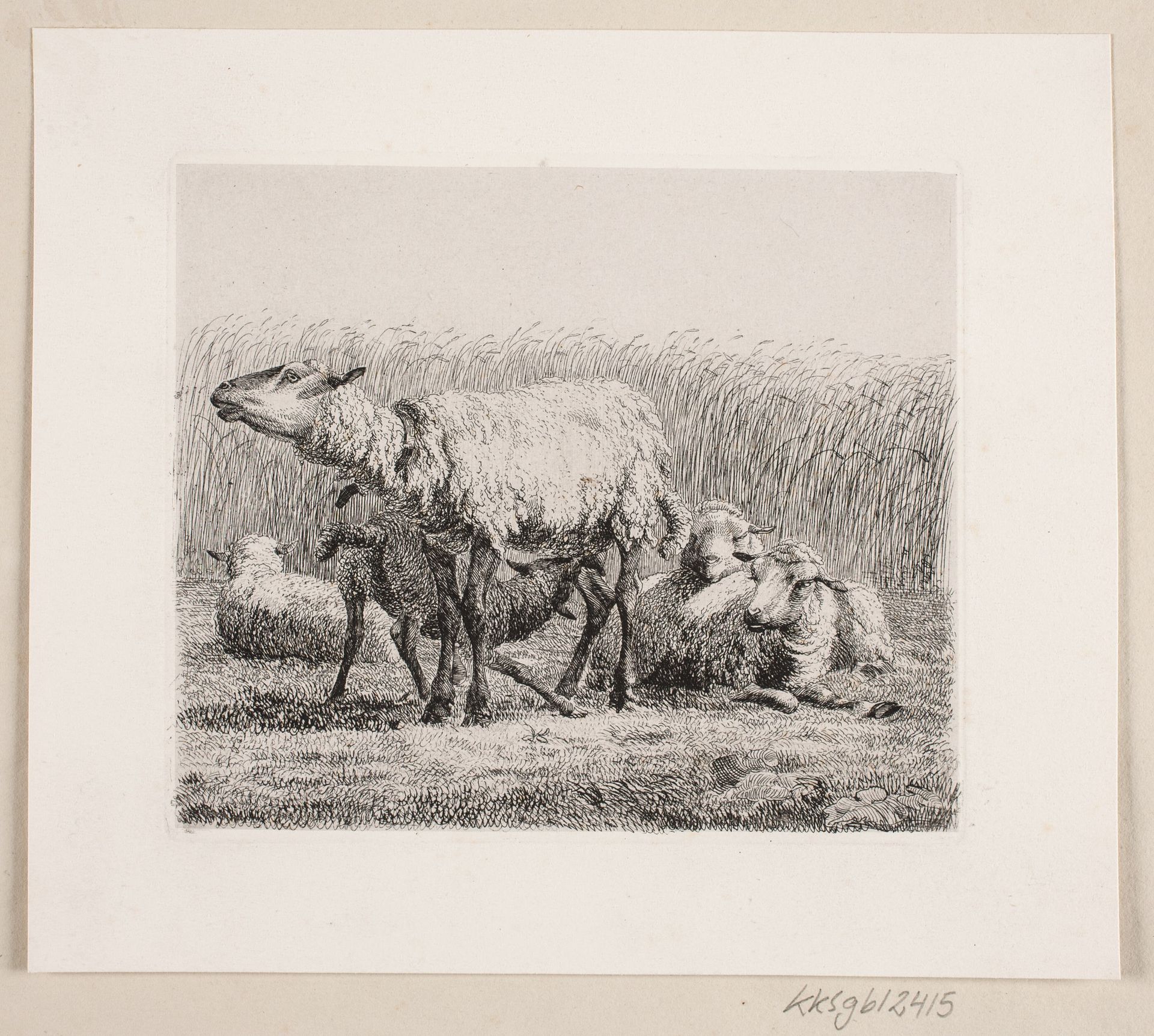 En fåreflok by Johannes Wilhelm Zillen