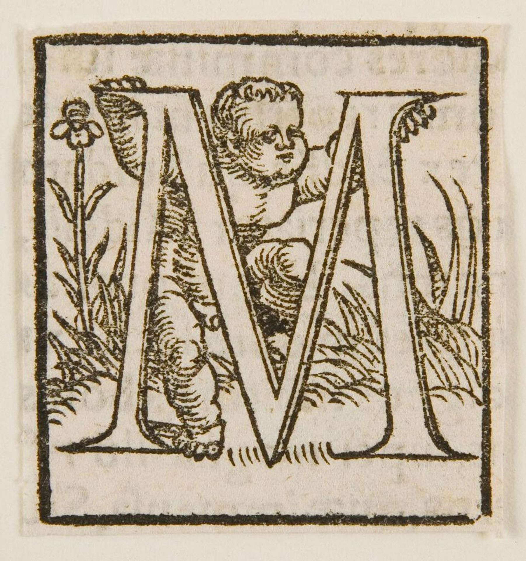 Letter M by Anton Woensam von Worms