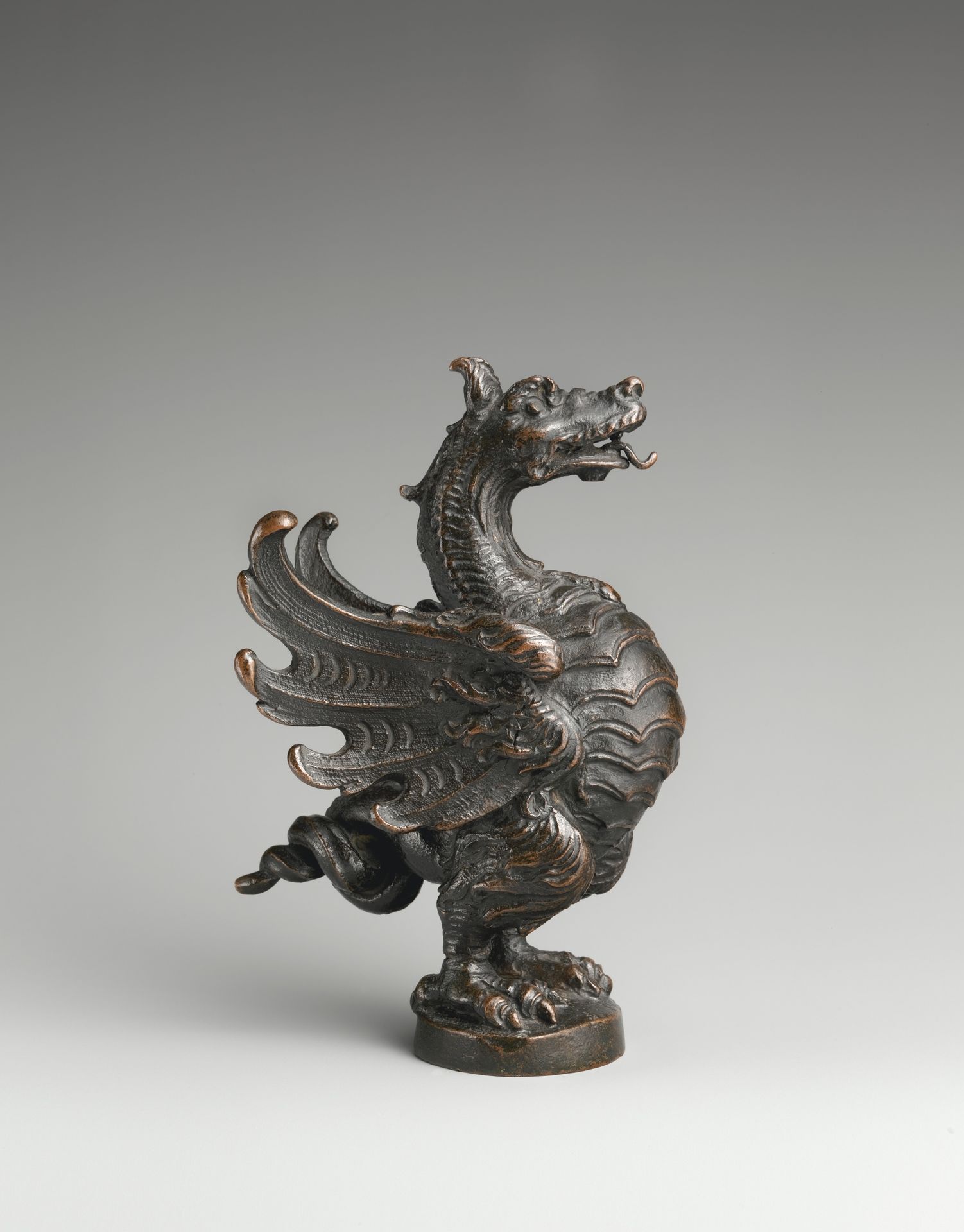 Dragon by Giacomo Laurenziani