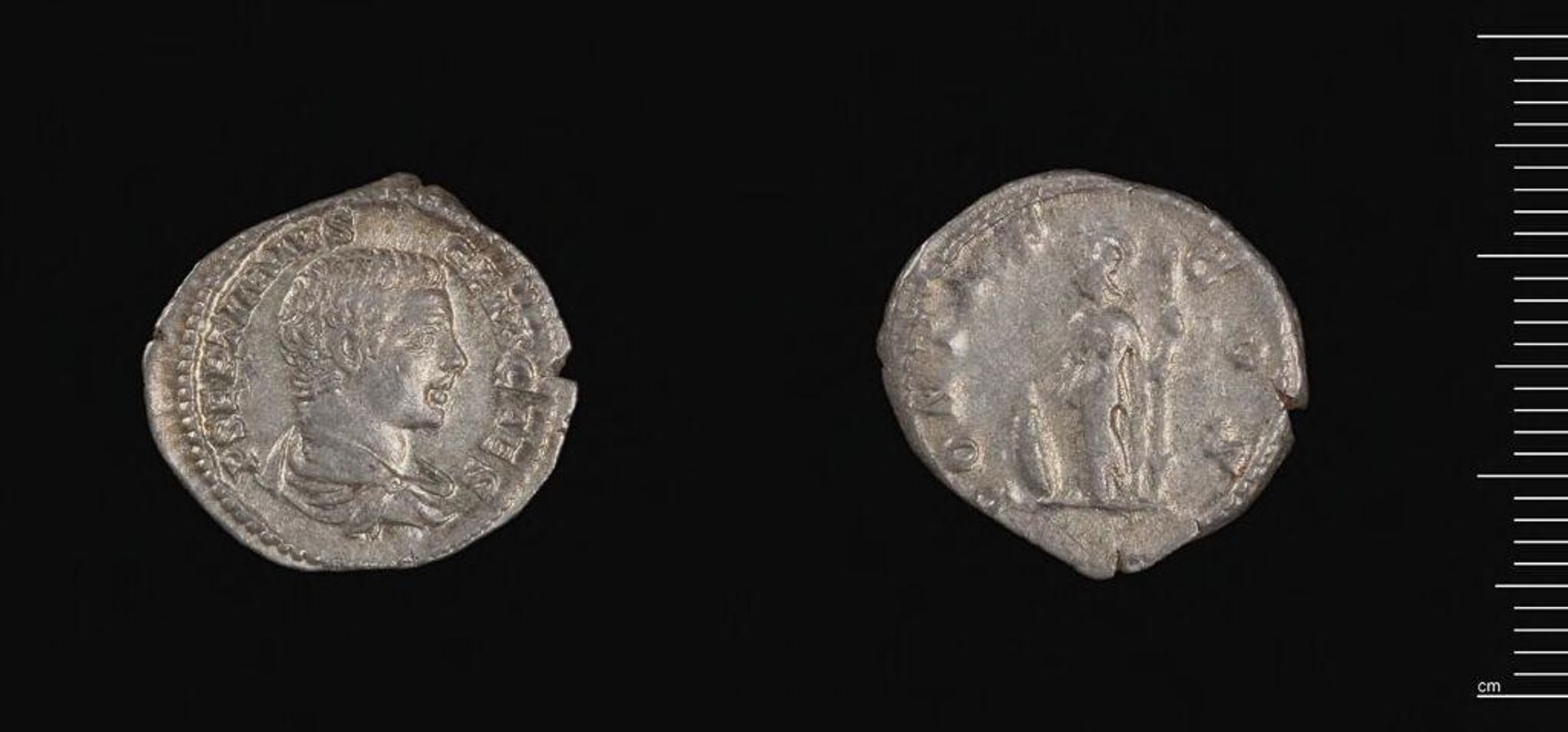 Denarius of Septimius Severus by Septimius Severus