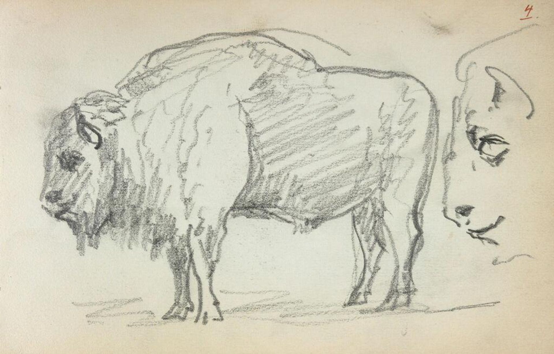 Studies of a Buffalo; verso: Sketches of Gondoliers by John Singer Sargent