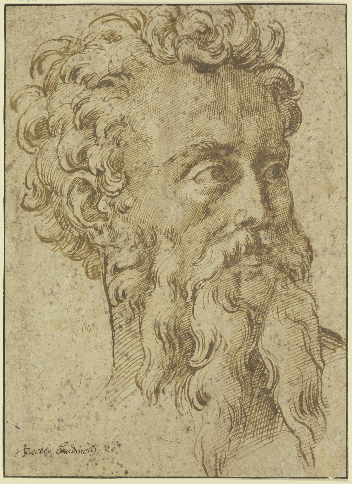 Männlicher Kopf mit langem geteiltem Bart dreiviertel nach rechts by Baccio Bandinelli