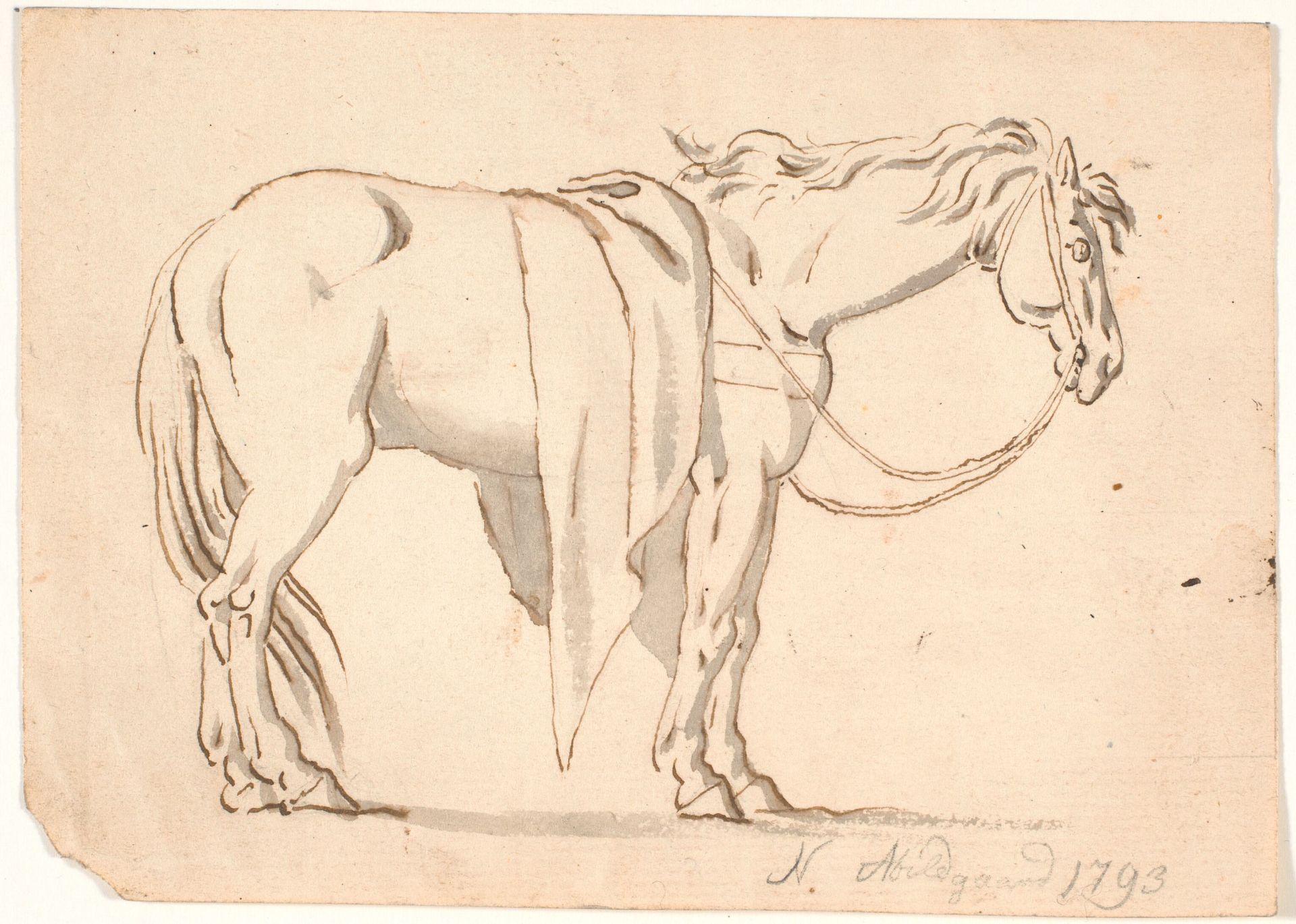 En hest med dækken på by Nicolai Abildgaard
