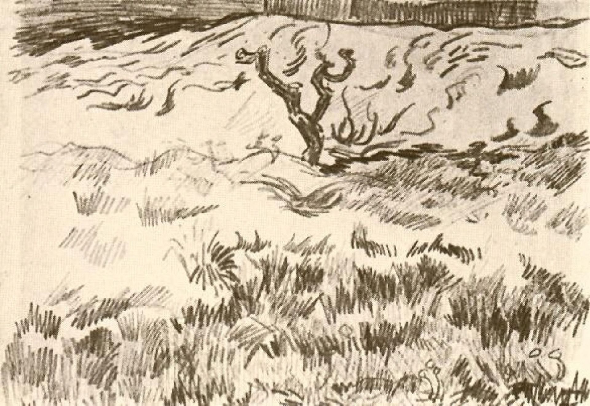 Field with Bare Tree by Vincent van Gogh