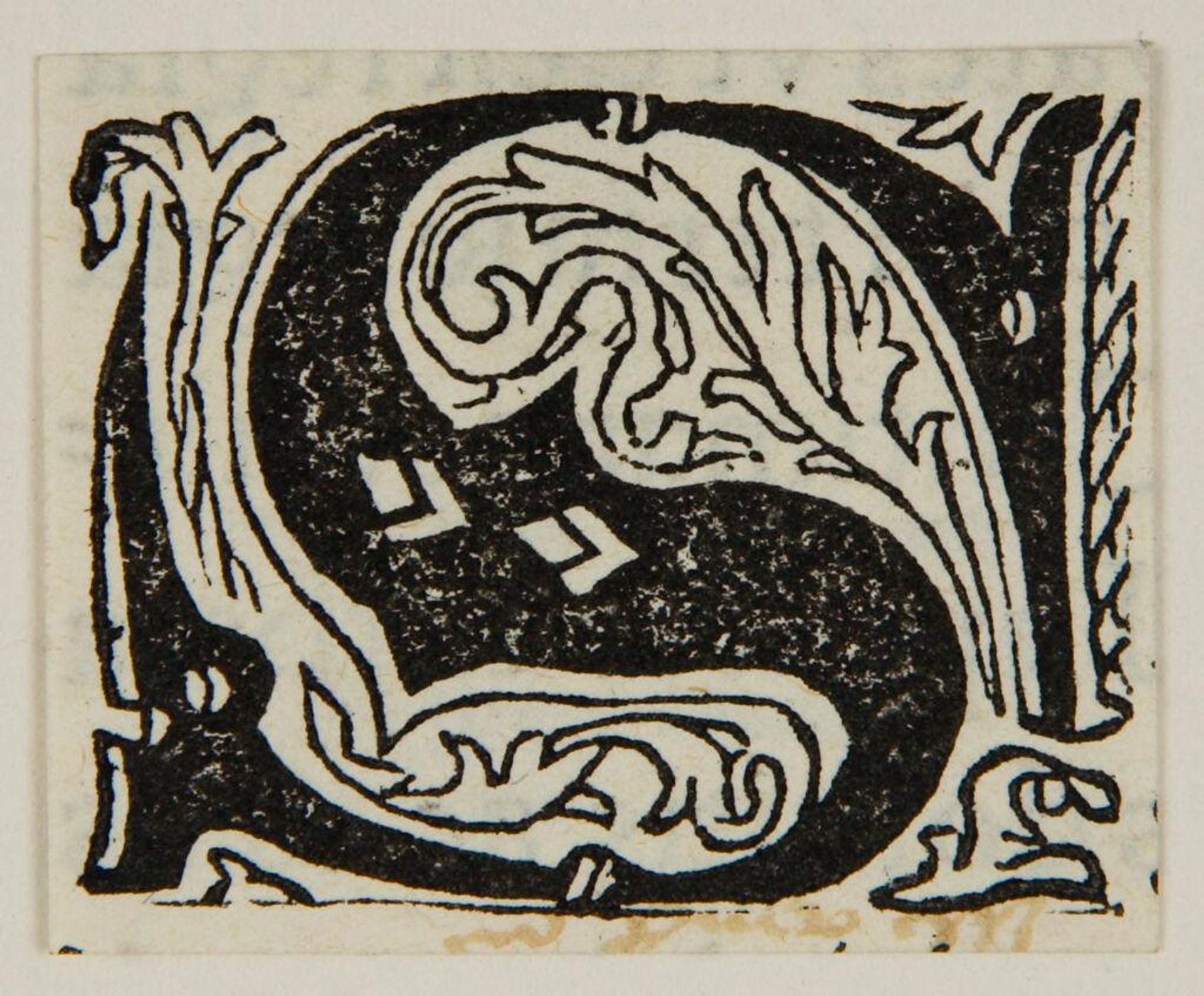 Letter S by Anonymous