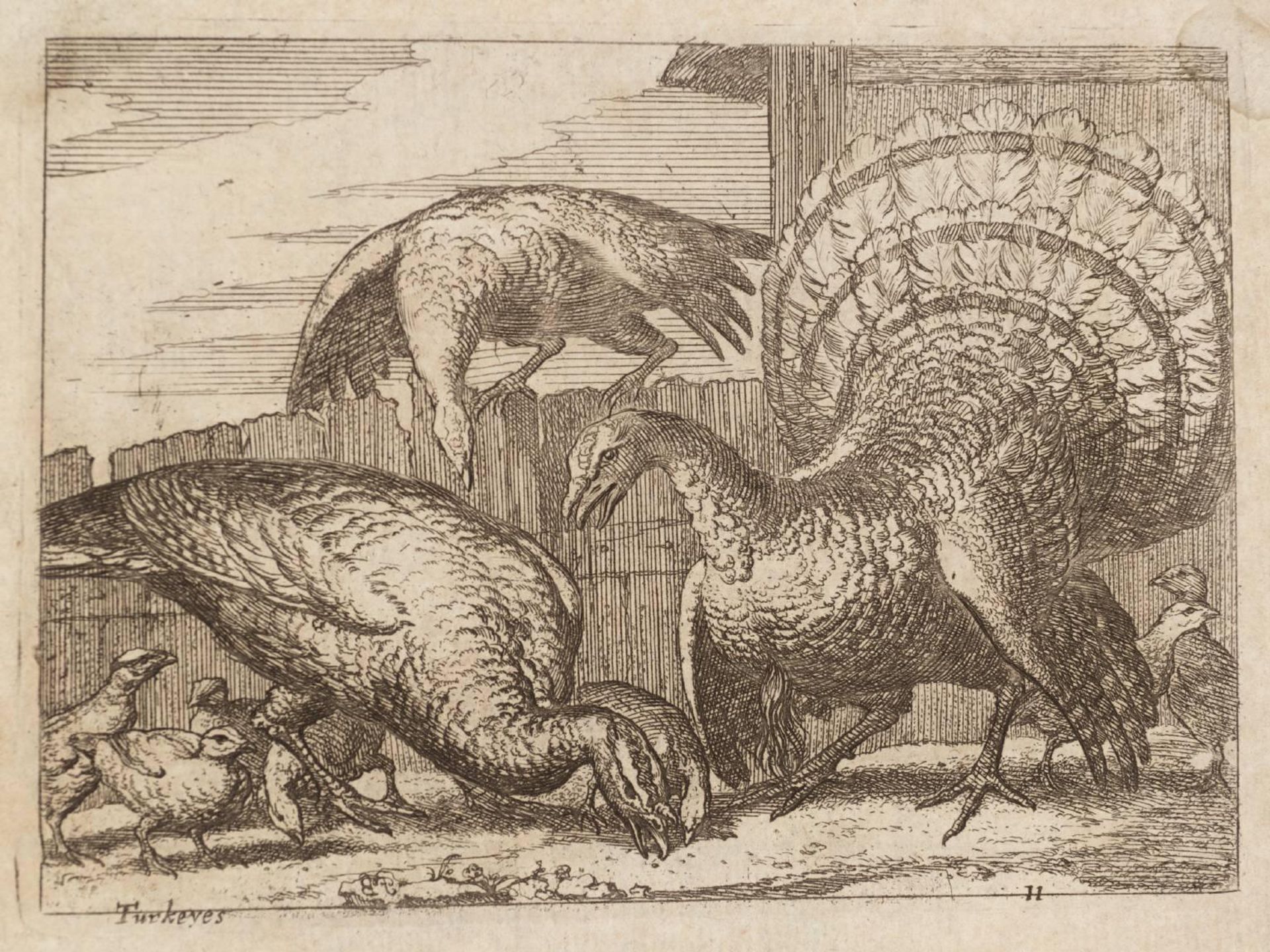 [title not known] by Francis Barlow