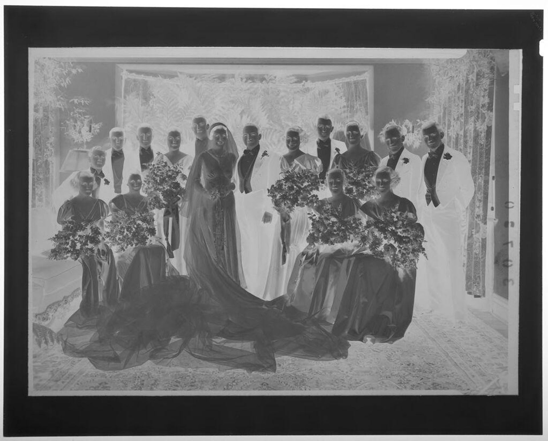 Untitled (bride and groom with large wedding party posed in carpeted room with plants) by Martin Schweig