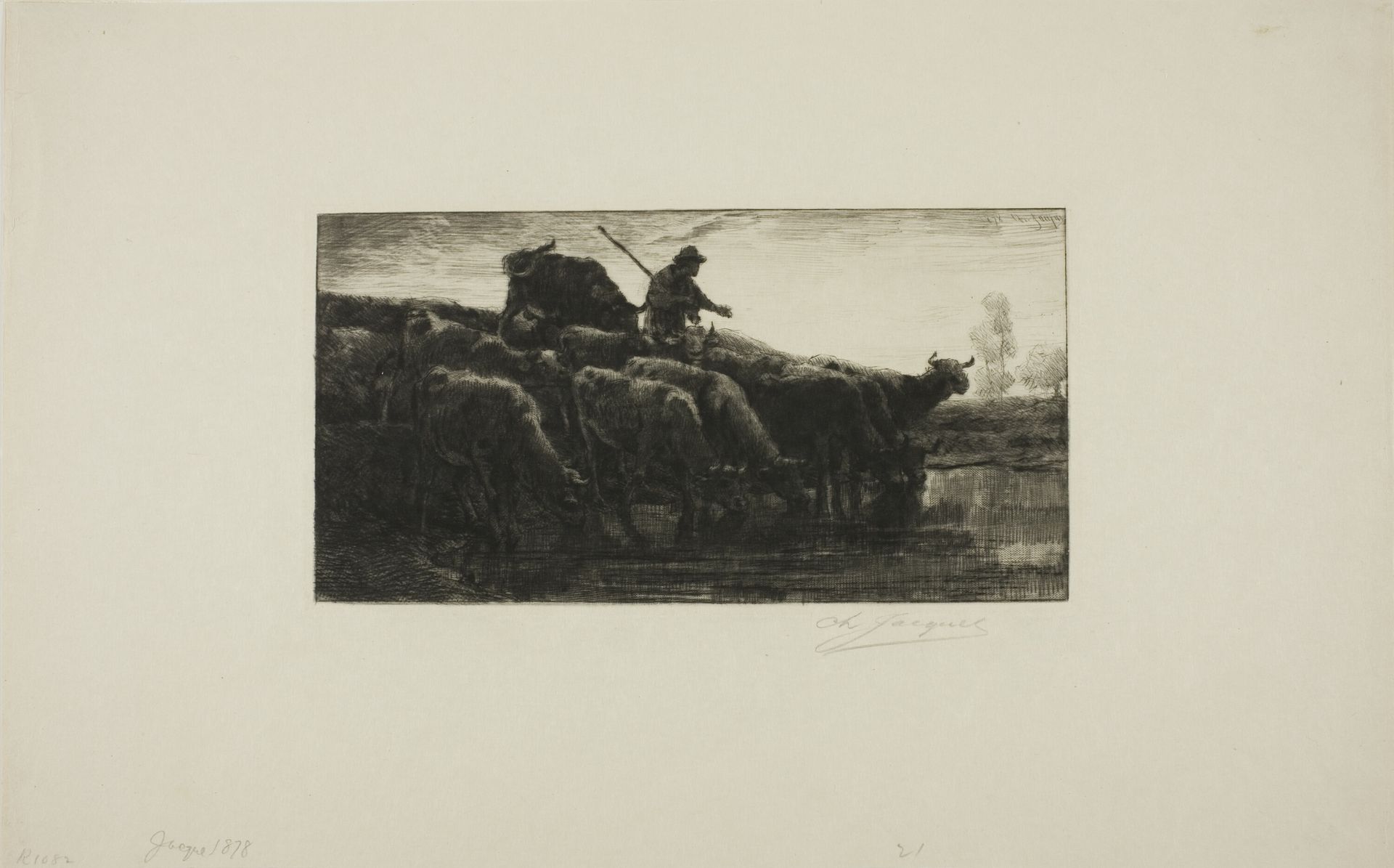 Herd of Cows at the Feeding Trough by Charles Jacque