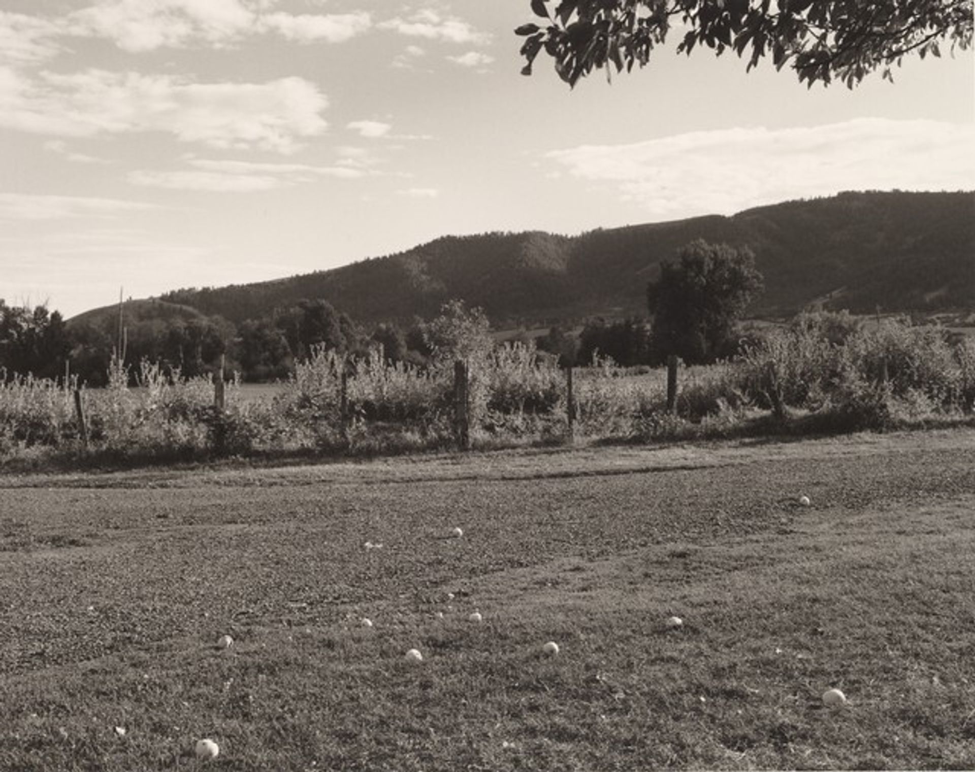 Baker County, Oregon by Robert Adams