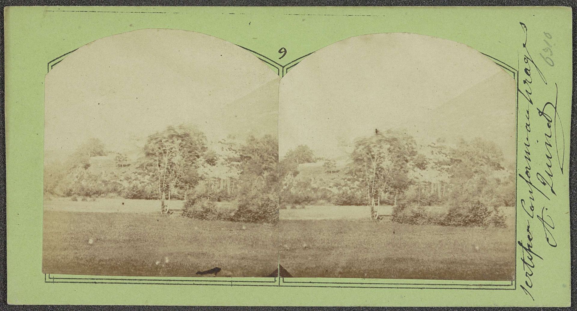 Grasveld met bomen en op de achtergrond de Alpen by Achille Quinet