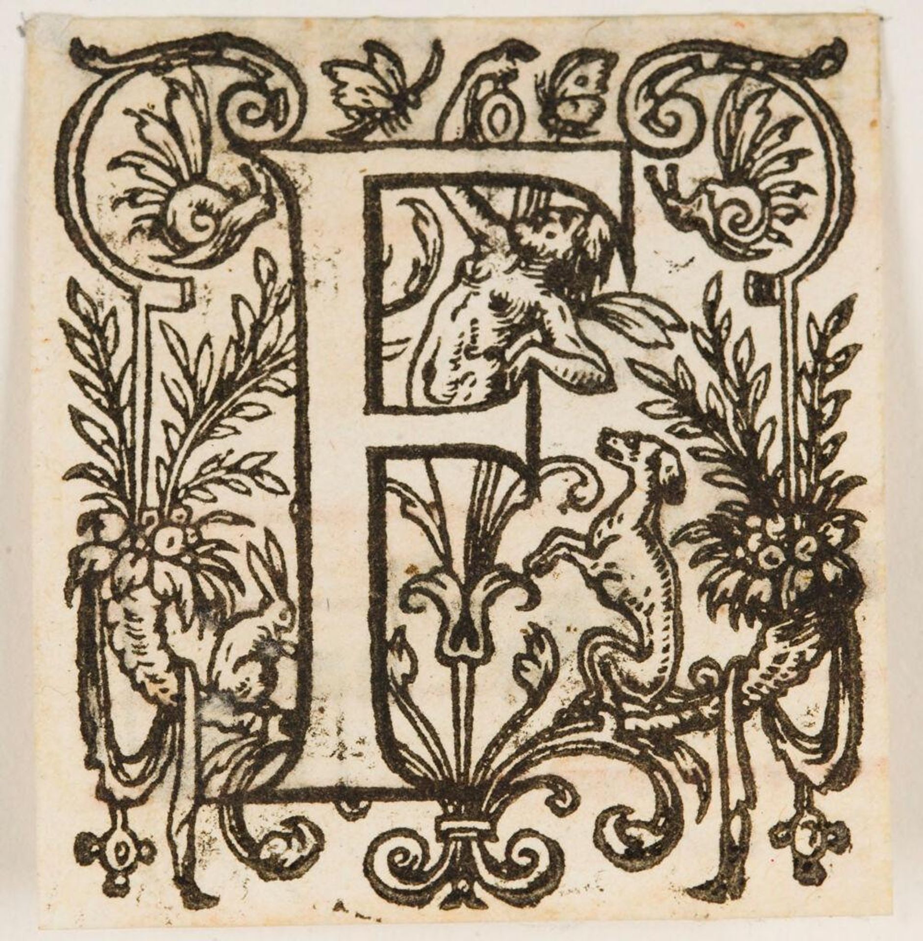 Letter F by Anonymous